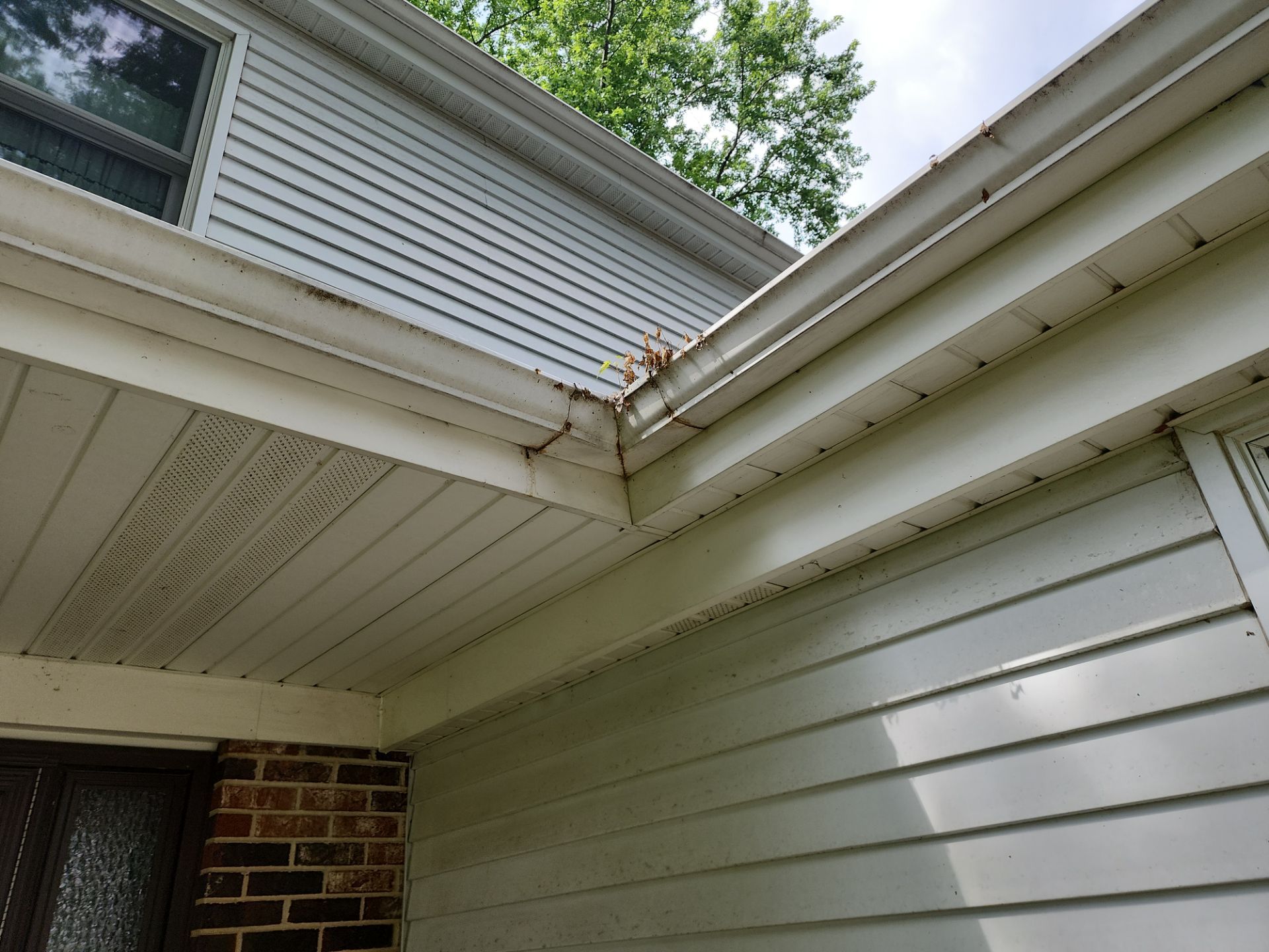 Palatine house wash and concrete power washing by Northern Power Washing LLC.