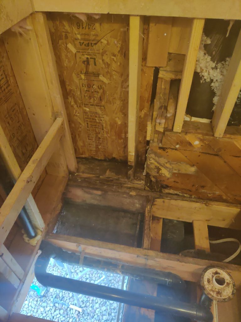 Mold Remediation in Bathroom by Accountable Home Services