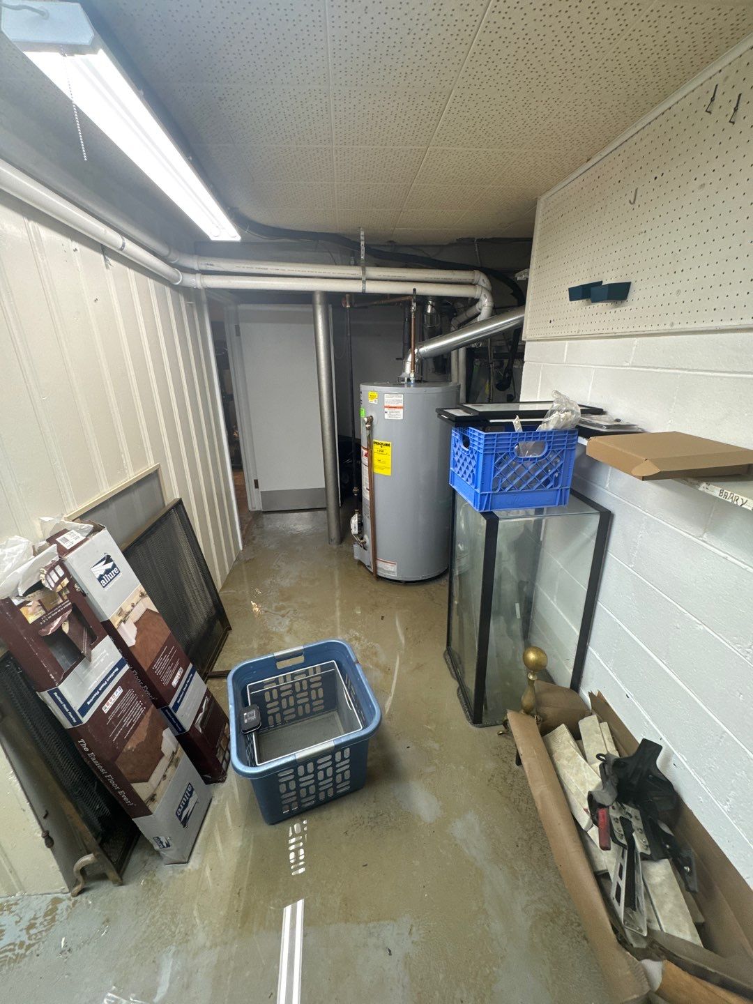 Project in Beverly Hills by EzDry Water Mitigation & Property Restoration