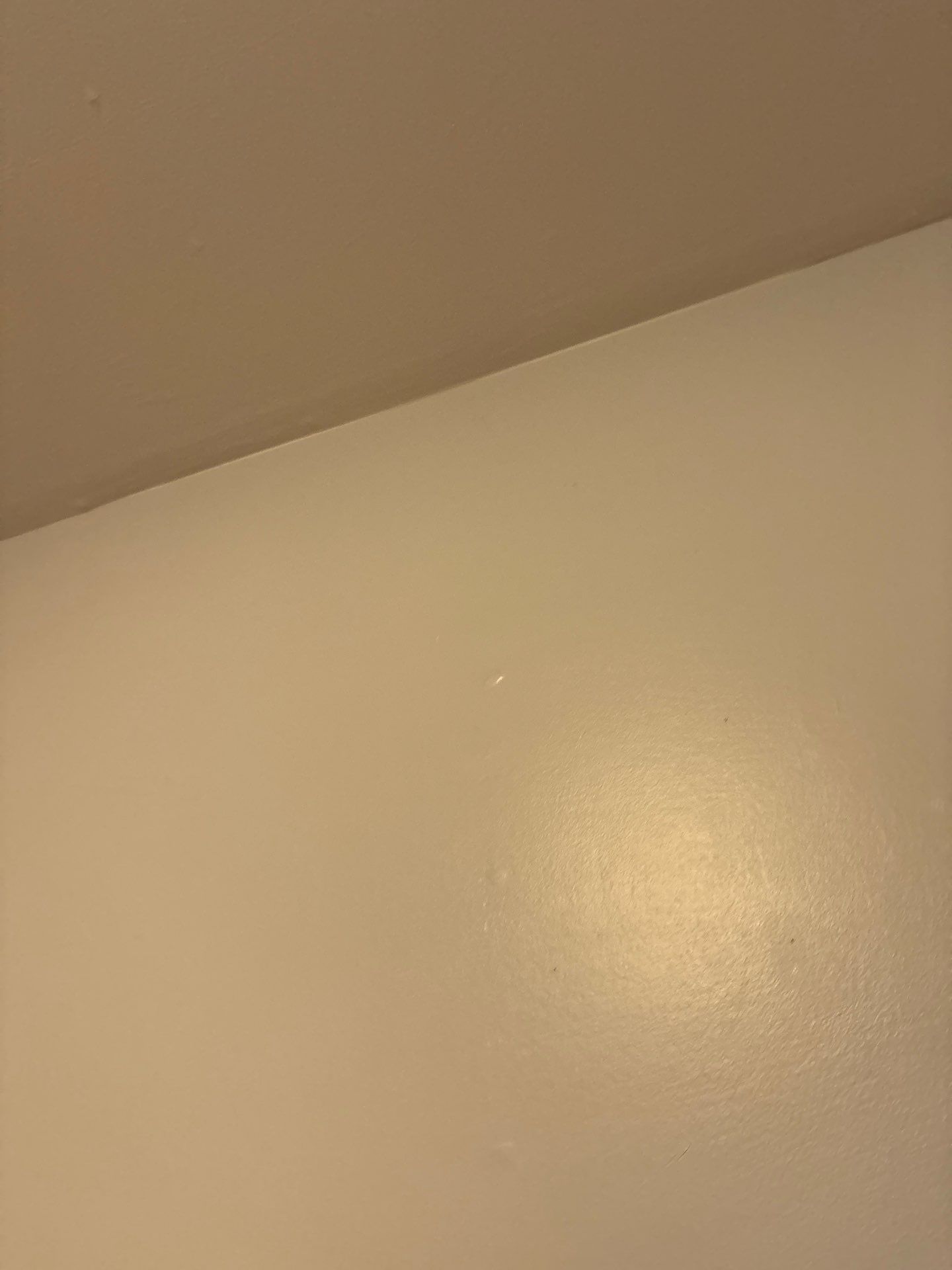 Flush-Mount Lighting and Interior Fixture Installation in Denver by CompanyCam Sales Demo