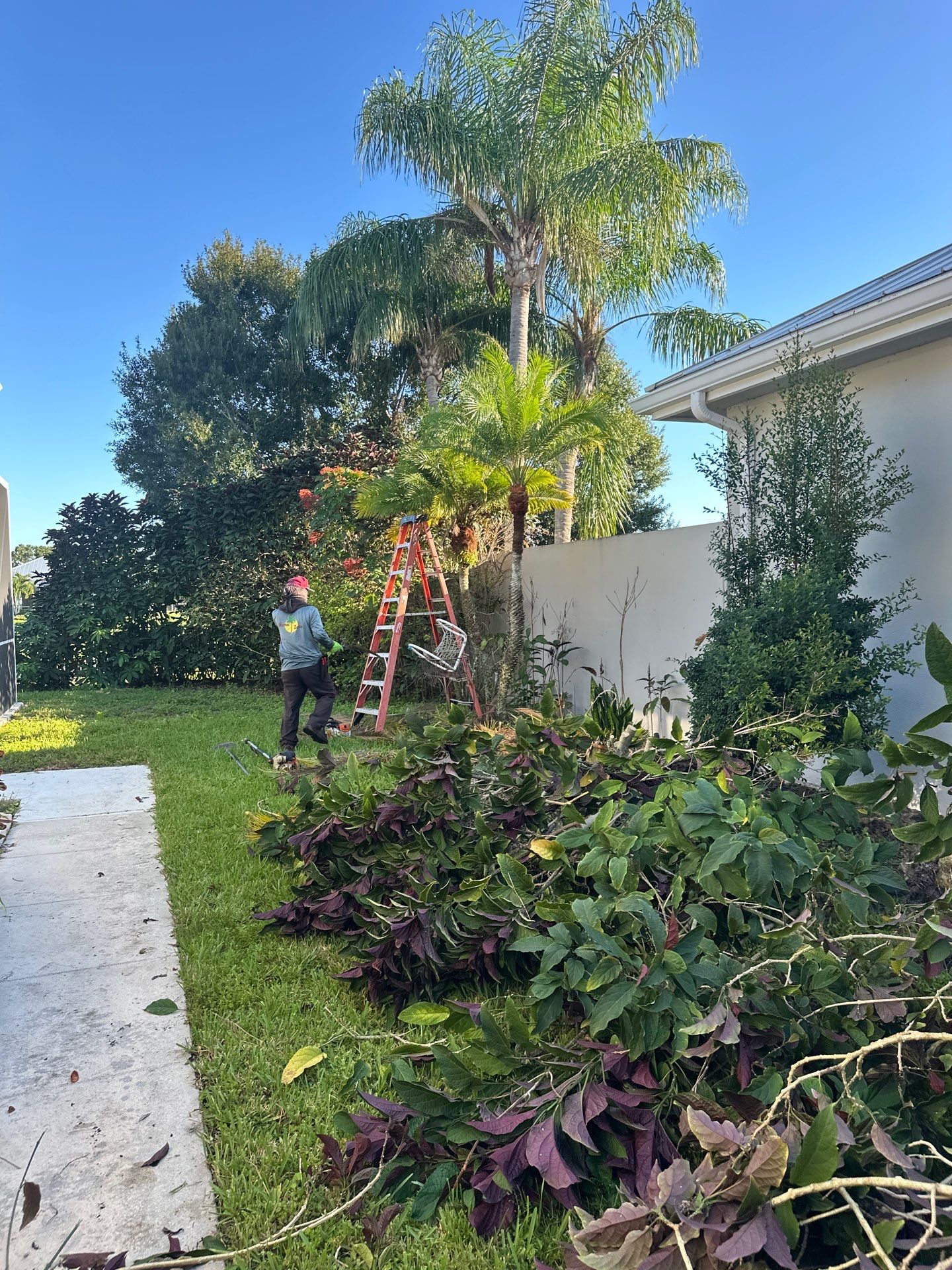 🌱 Evergreen Residential Cleanup — Palm City by Alpha Zeta Enterprises Inc