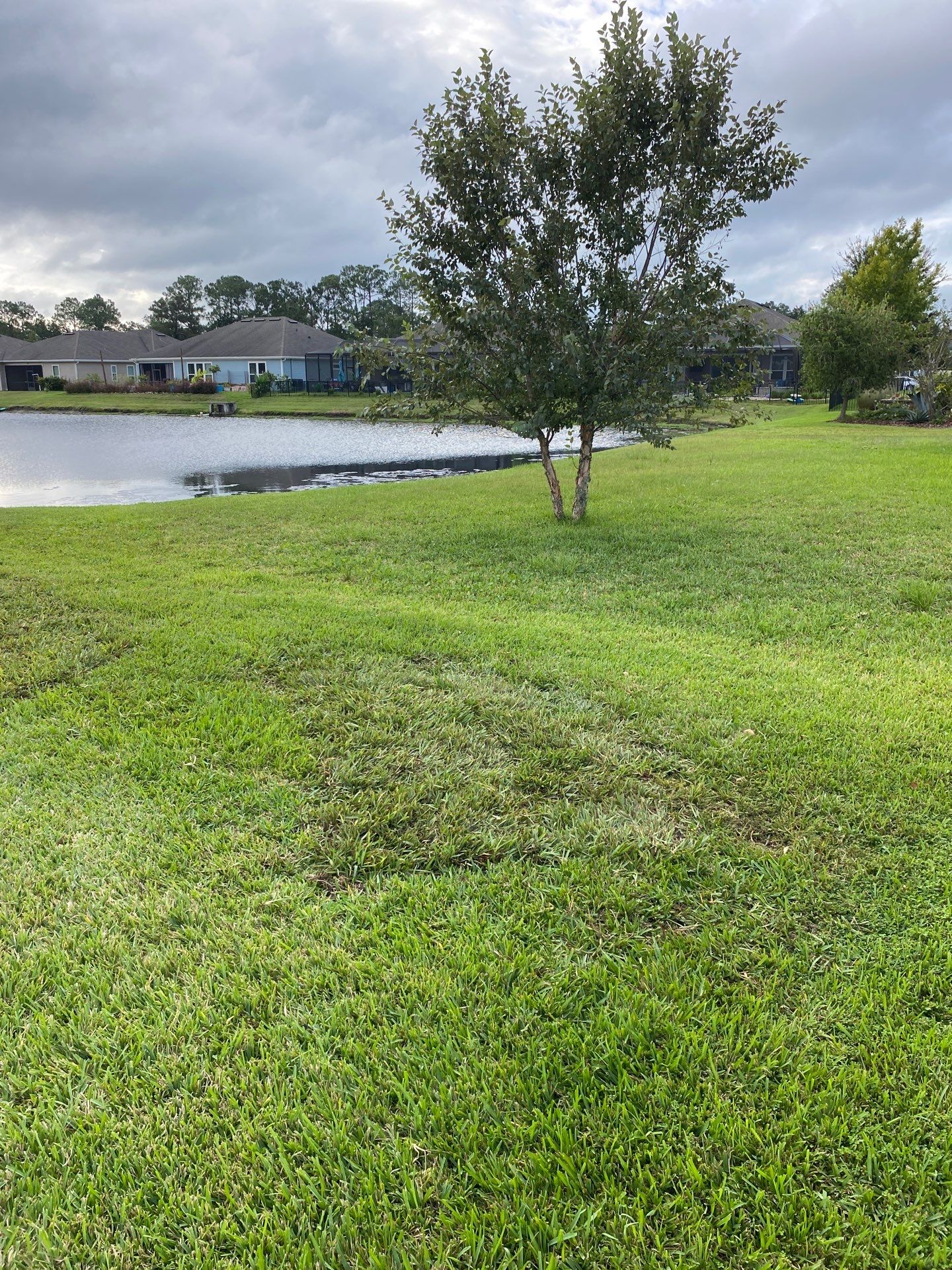 Small Sod Project | Residential by ProGreen Services