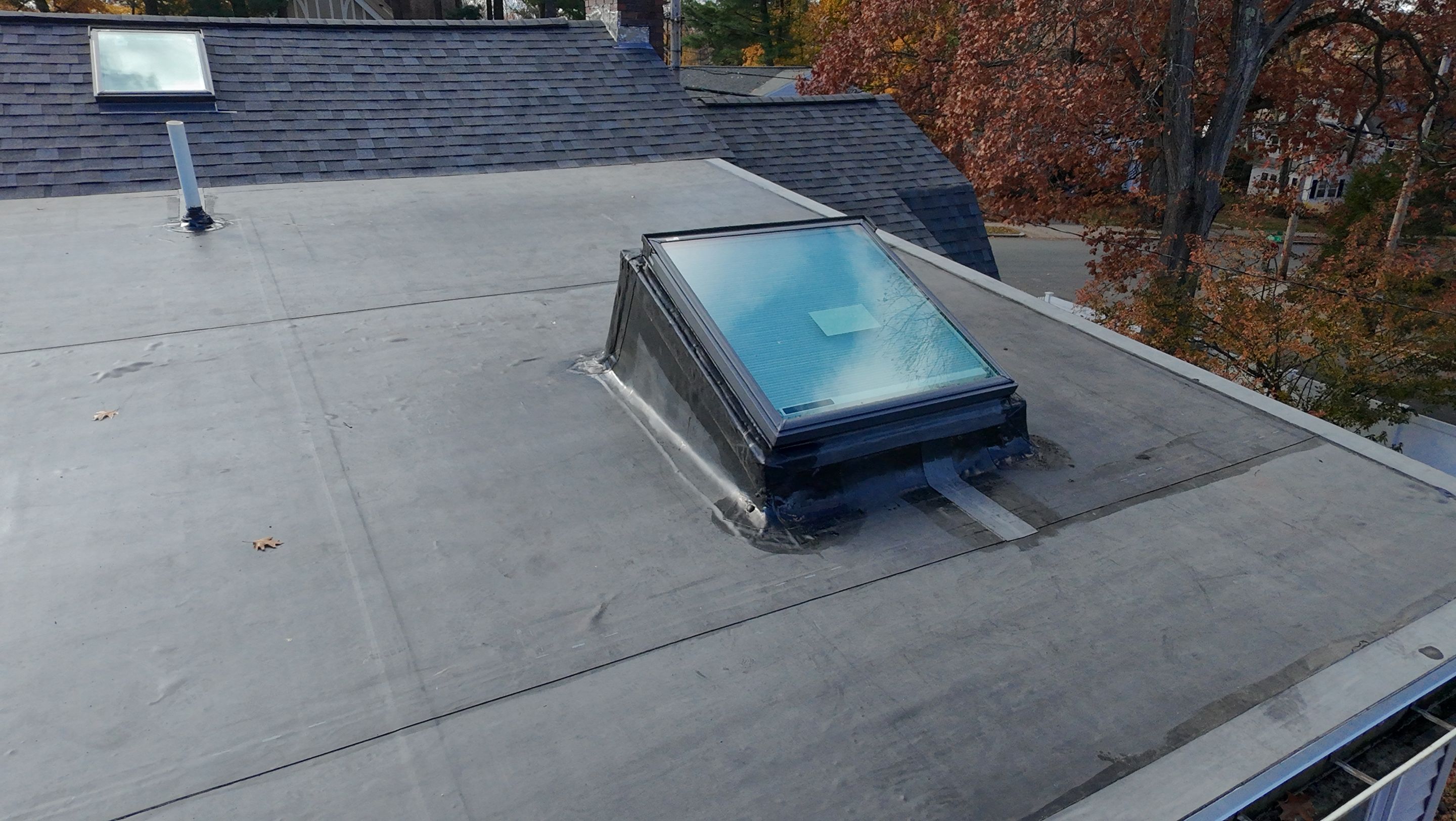 Project in Newton by JOHNNYS PRO