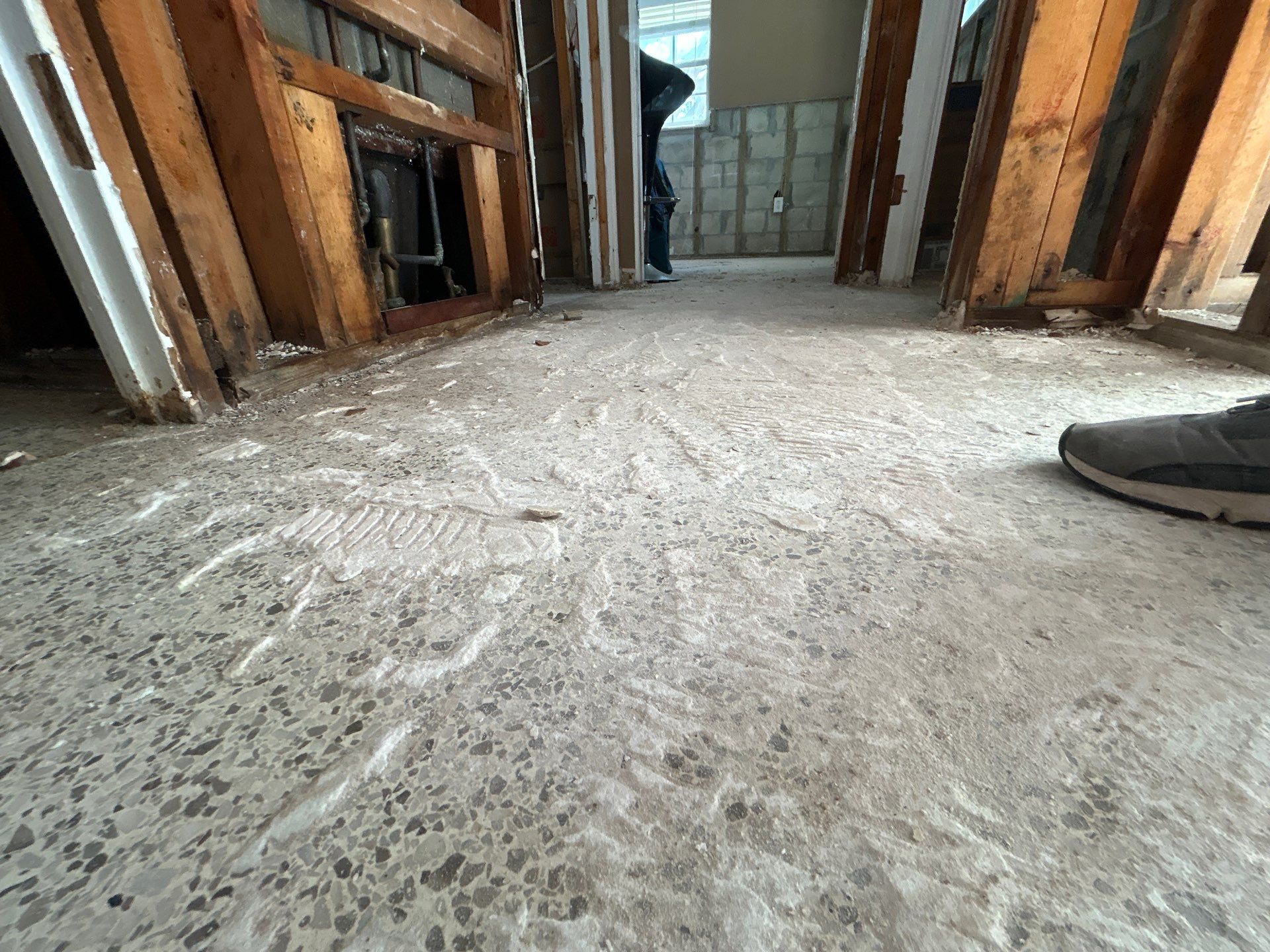 Mold Remediation + Reconstruction Bradenton by Ampm Restoration Services