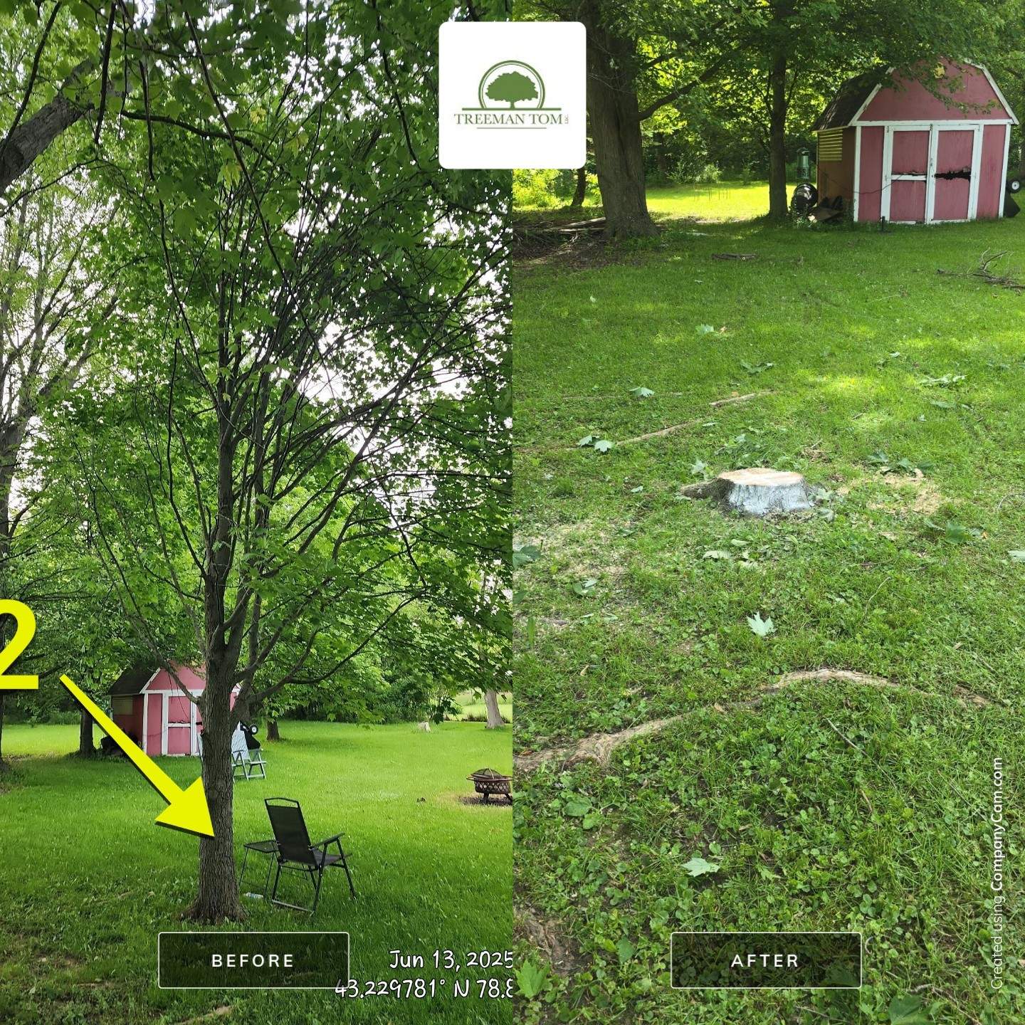 Removal for Future Projects  by Treeman Tom LLC