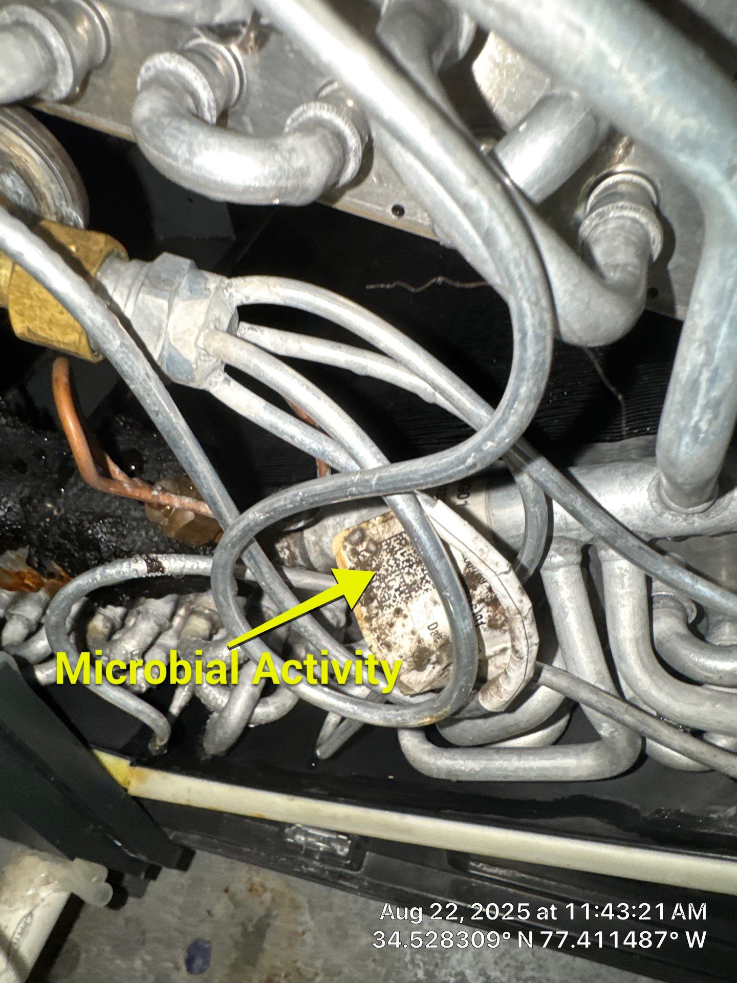 Severe Indoor Air Mold Issues by Home Disaster Medics