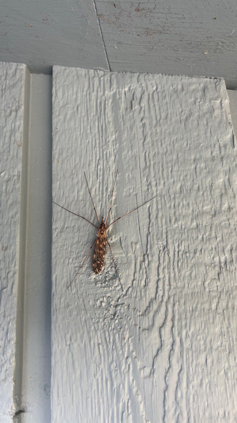 Residential ReRoofing Installation using Duraclad 26ga by Top Notch Roofing Inc