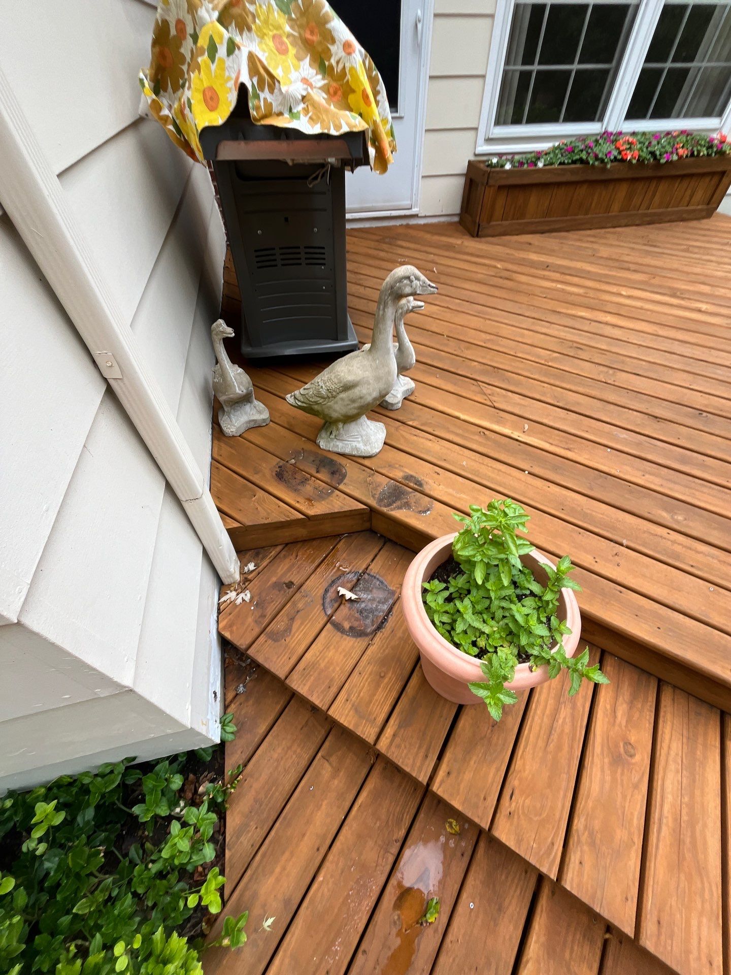 Wood cleaning and staining using Algaecide, soft wash soap by Northern Power Washing LLC.