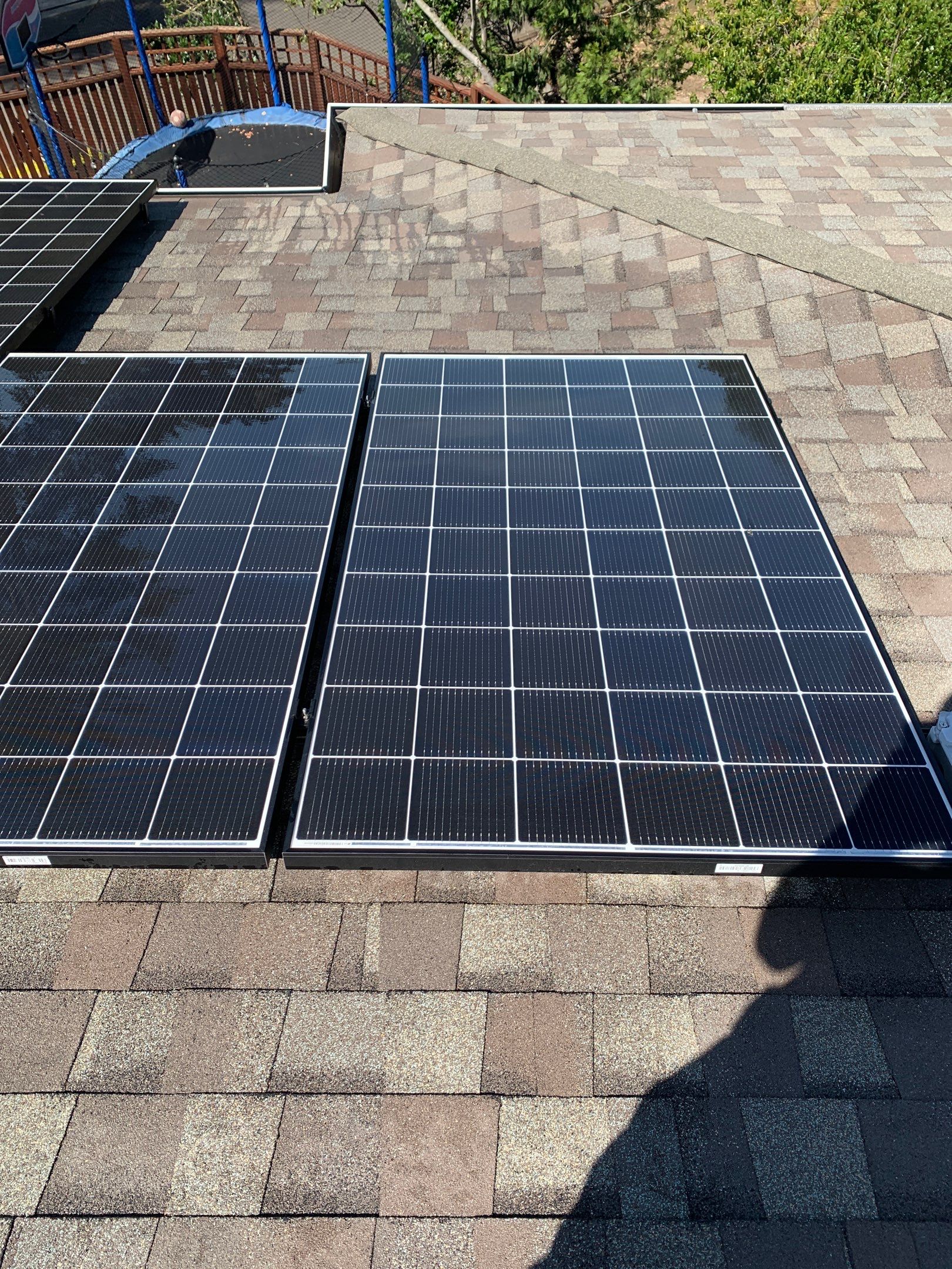 Bernadette Ryan-Leduc by SpotFree Window Cleaning