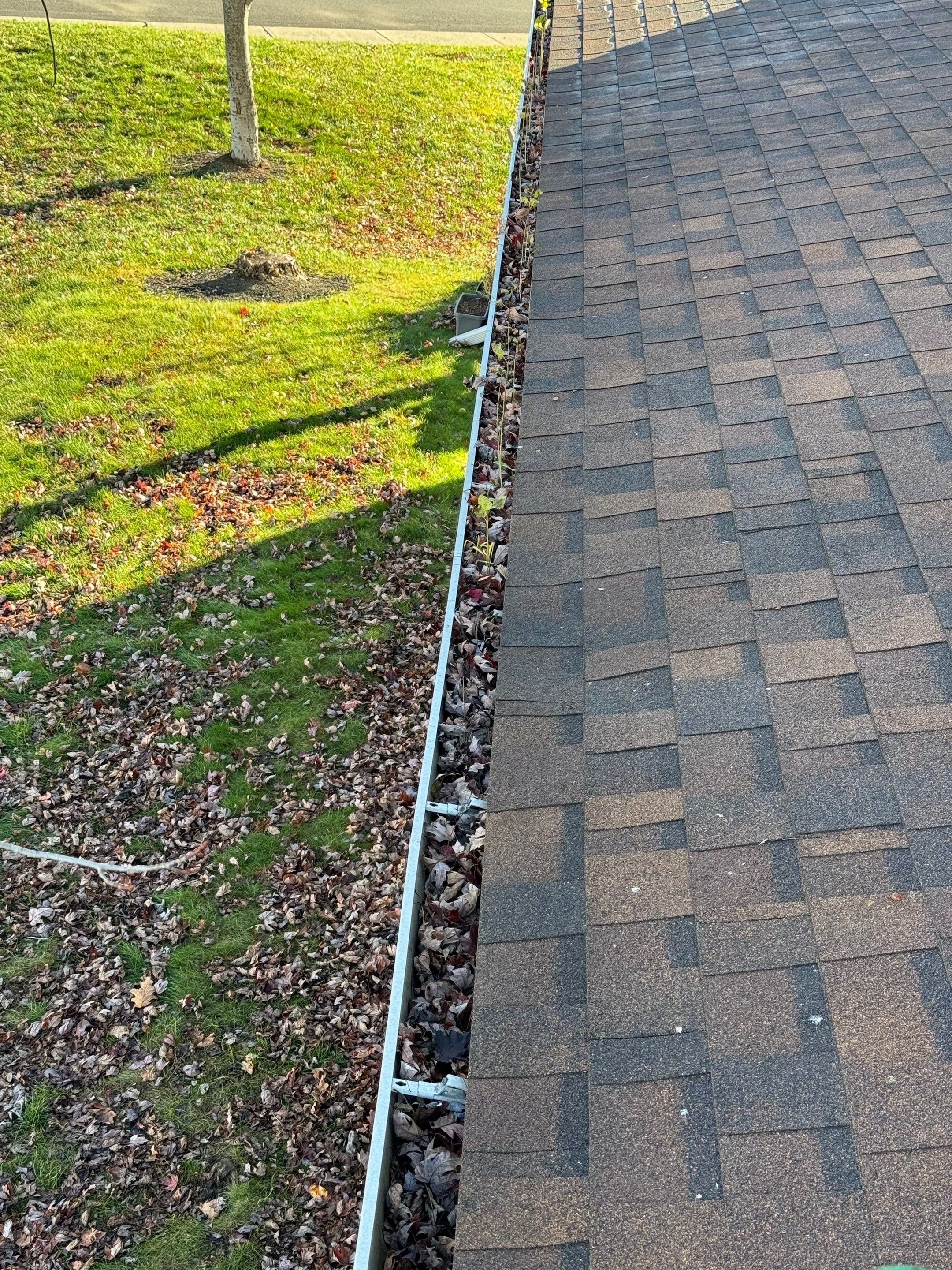 Commercial gutter cleaning Albany, NY before photo with filled gutters