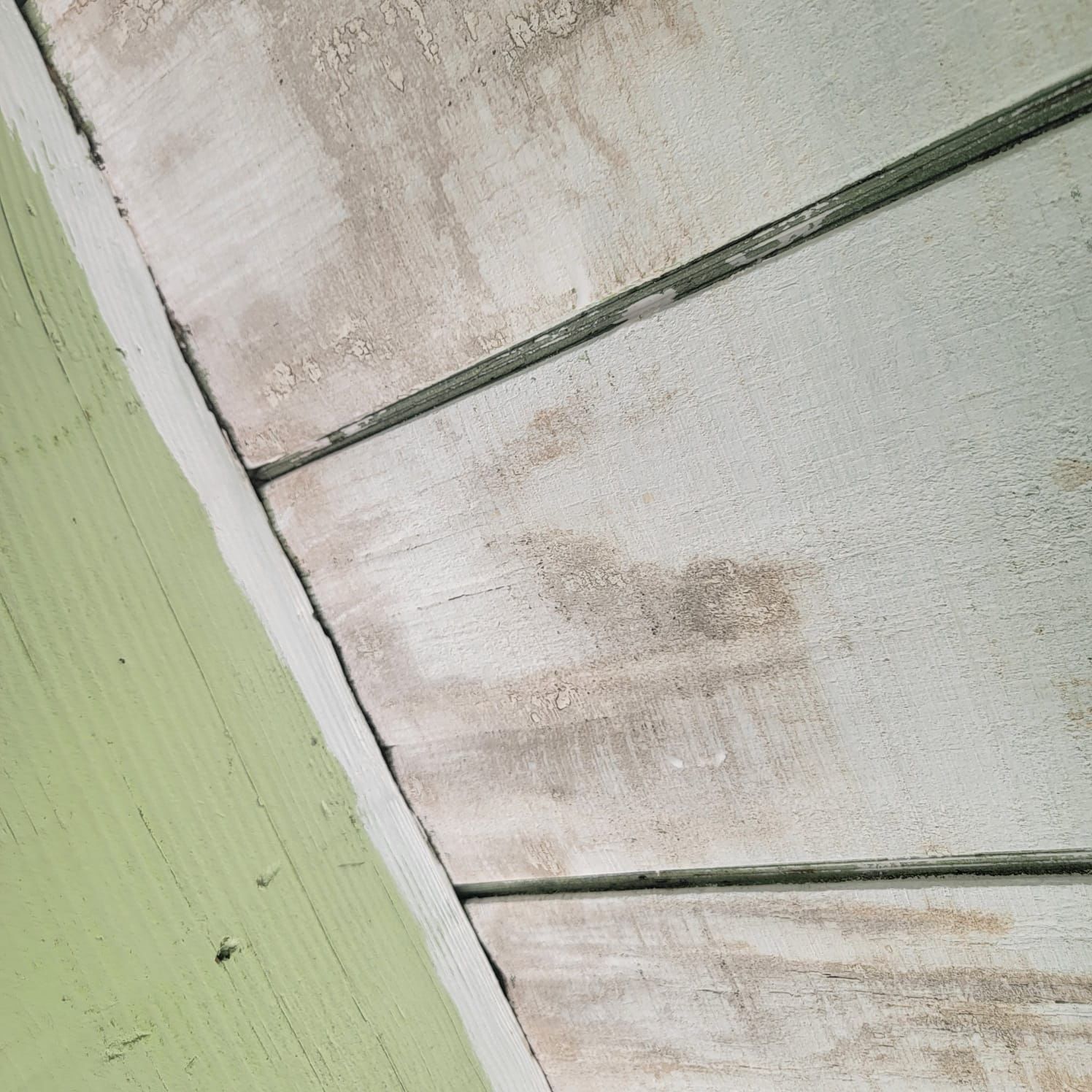 Deck Ceiling Painting in Conshohocken, PA by Davis Painting Llc 