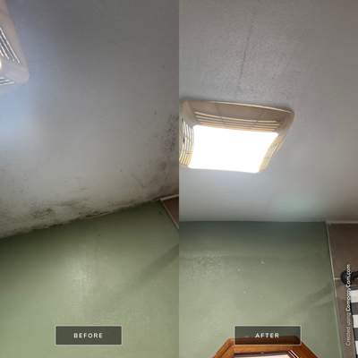 Mold Remediation and Bathroom Ceiling Repair in Madison