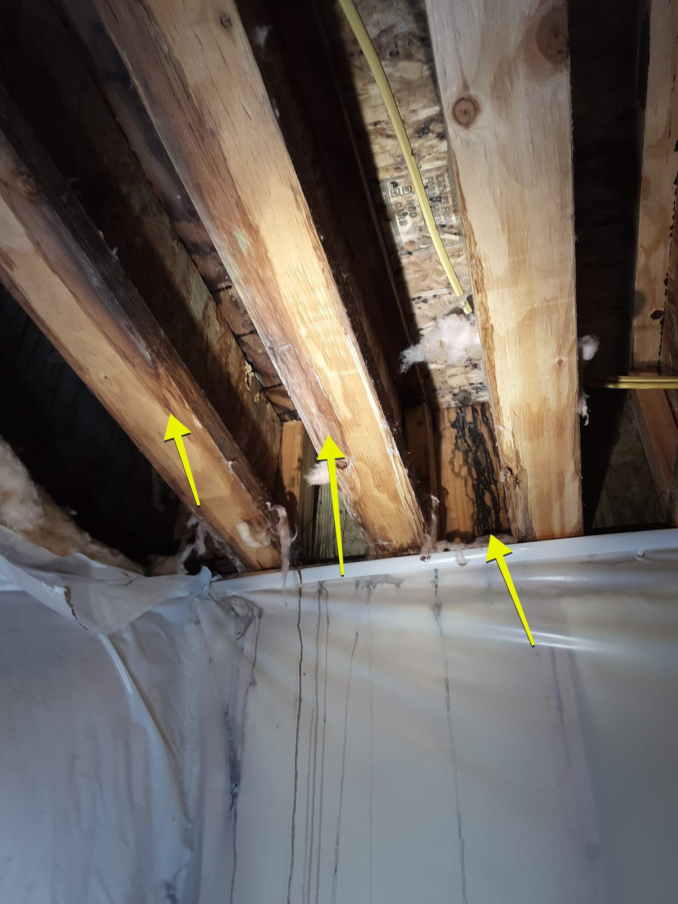 Interior water damage inspection by ASAP Roofing & Exteriors