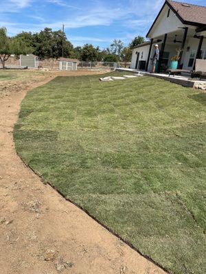 Project in Clements