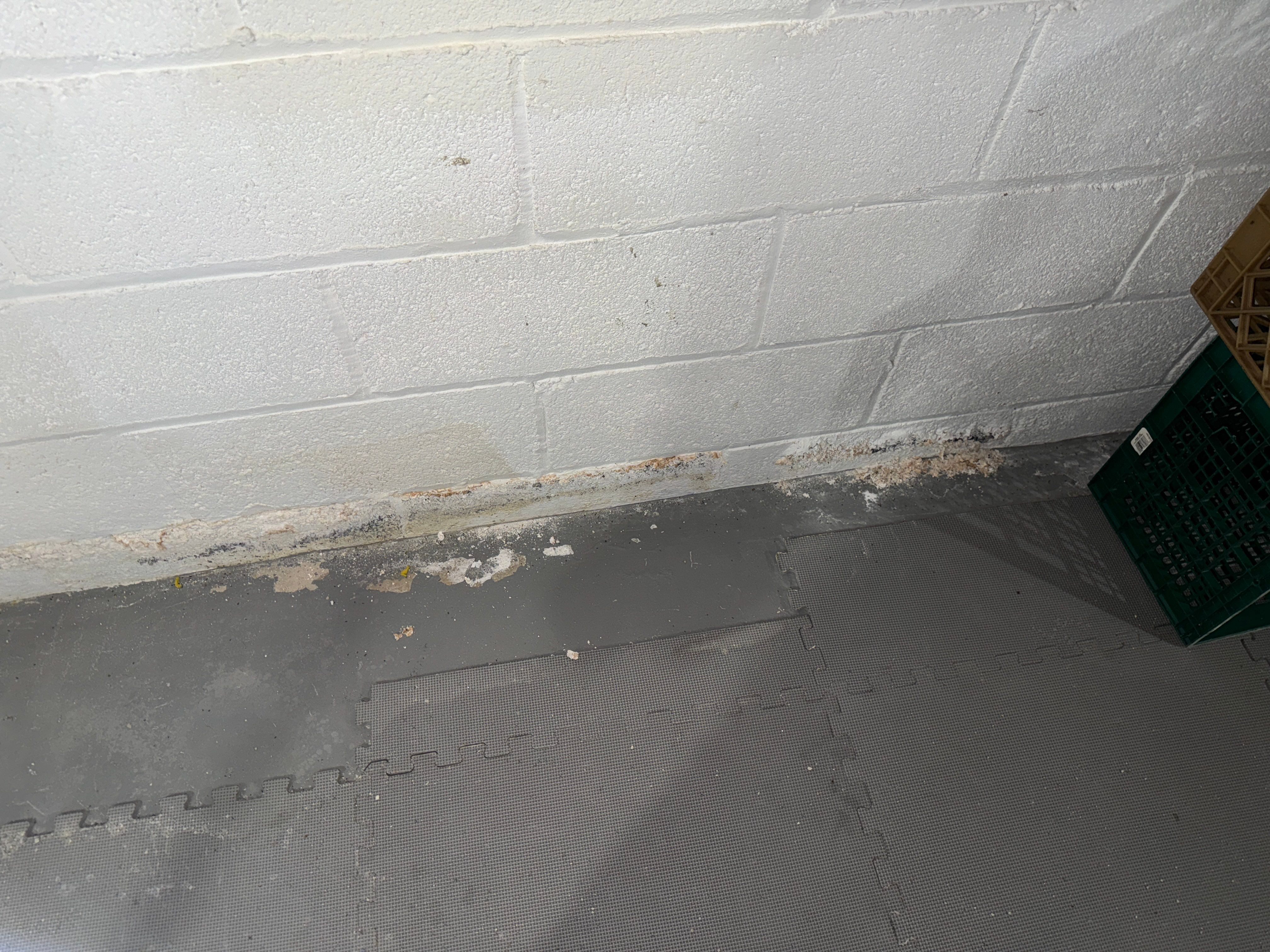 Interior French Drain Boonton NJ by Pure Service Pro, LLC 