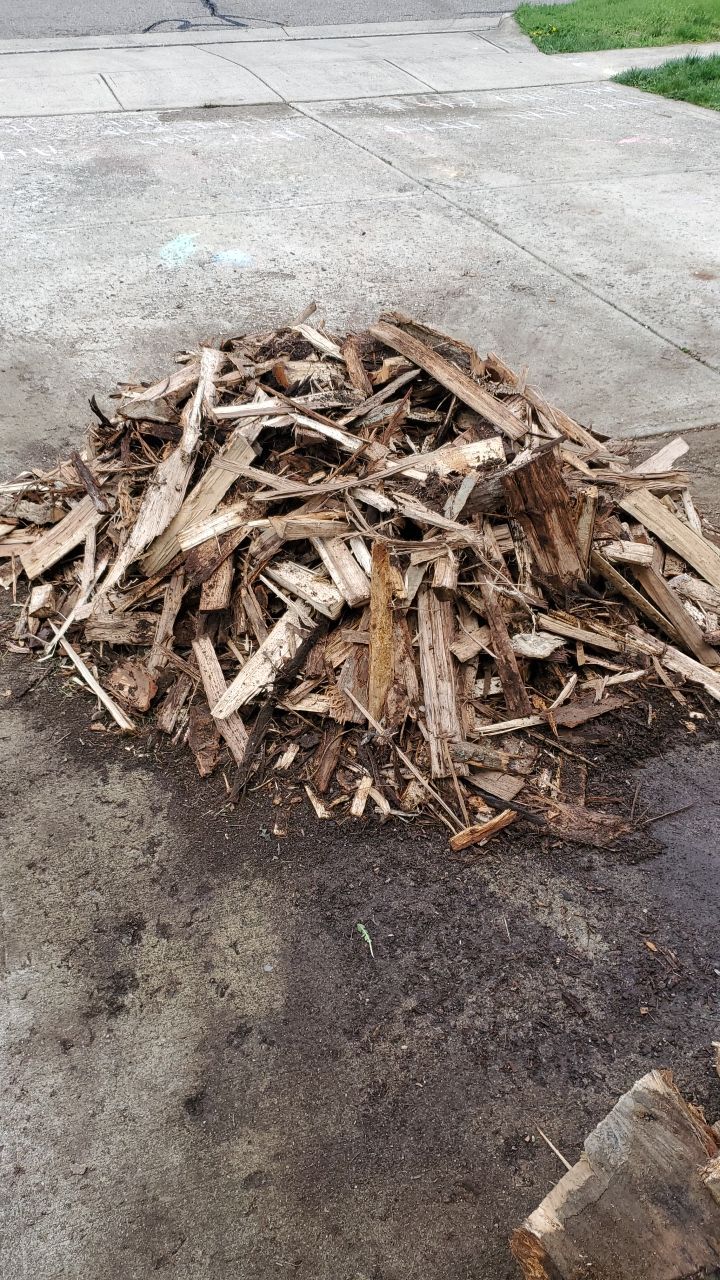 Tree Removal using Tree Removal by Mike Jones & Sons Tree Service LLC 