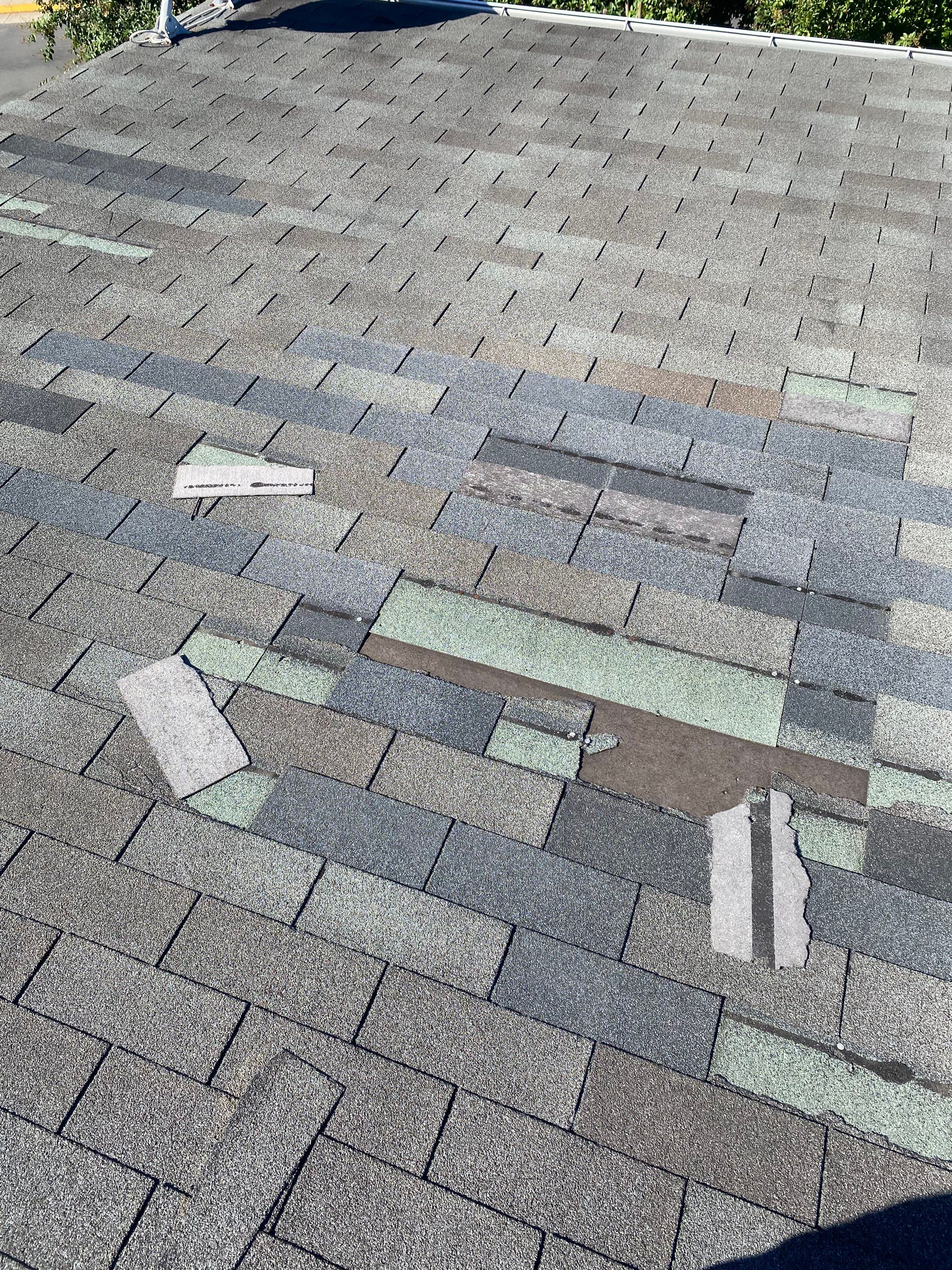 Herndon: Residential Roof Replacement with CertainTeed Landmark Pro in Max Def Moire Black by RM Banning, Inc.