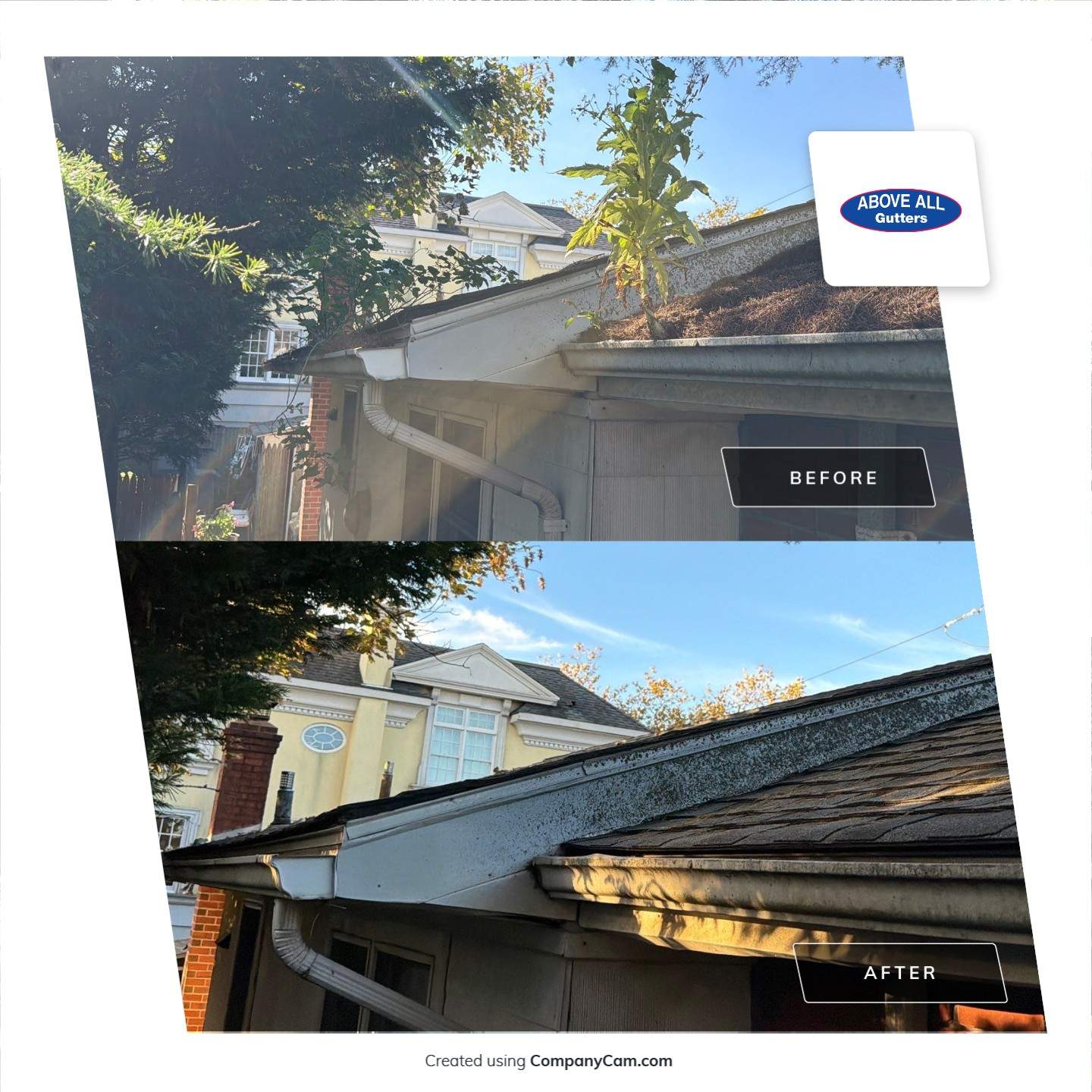 Comprehensive Gutter and Roof Debris Removal in Point Lookout by Above All Gutters