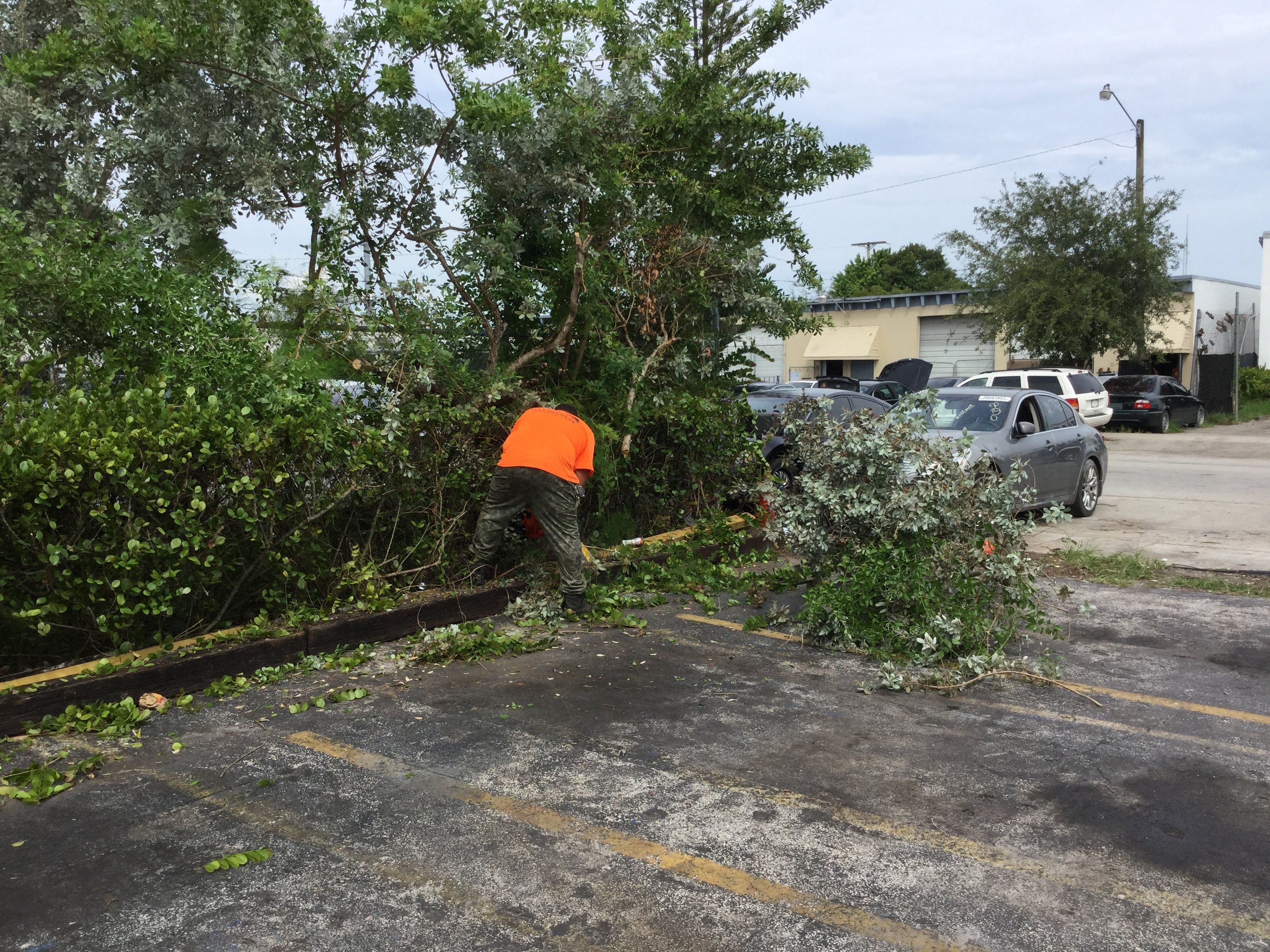 General Maintenance by 
M.A.B. Landscaping & Property Maintenance