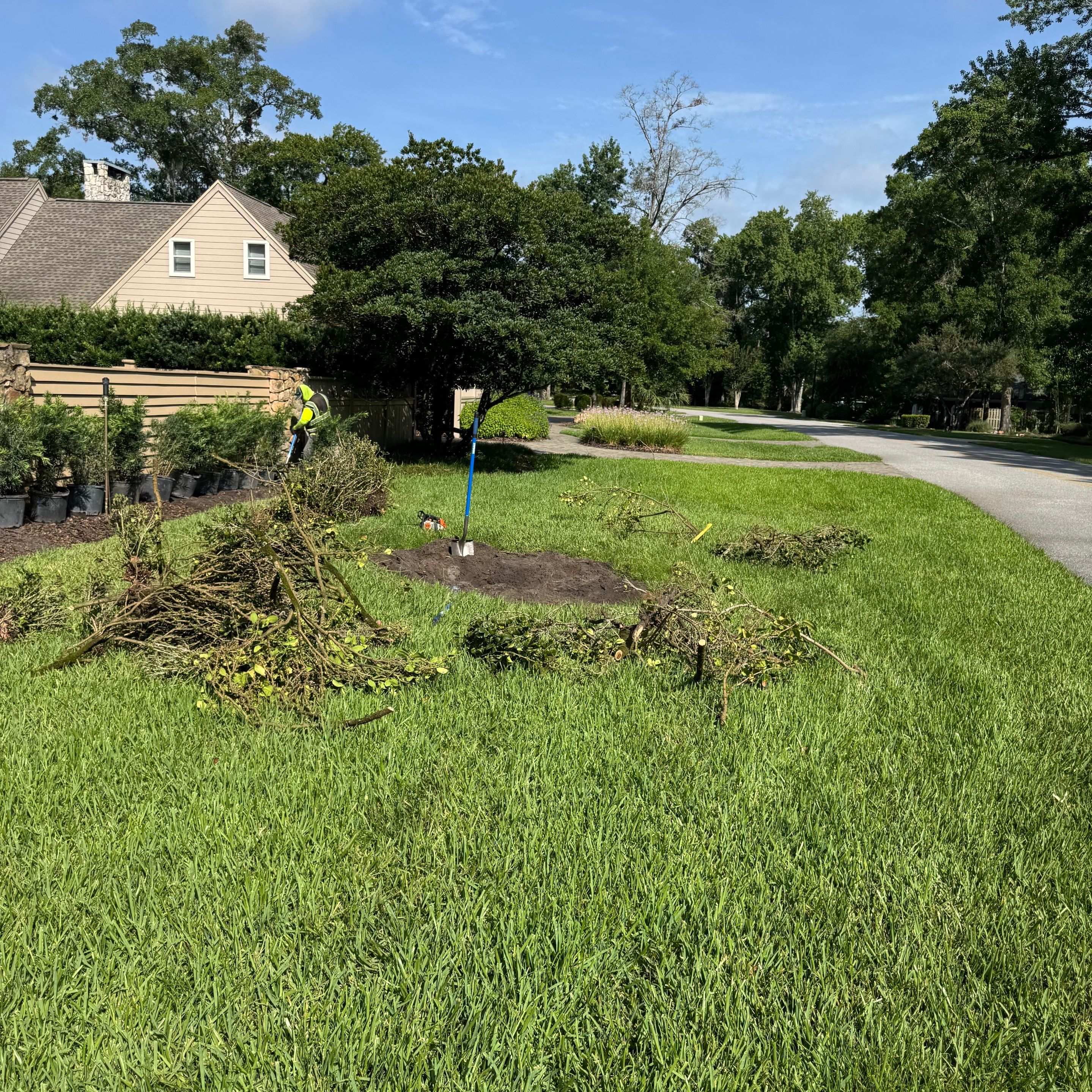 Deerwood Resident | Plant Install & Tree Work by ProGreen Services