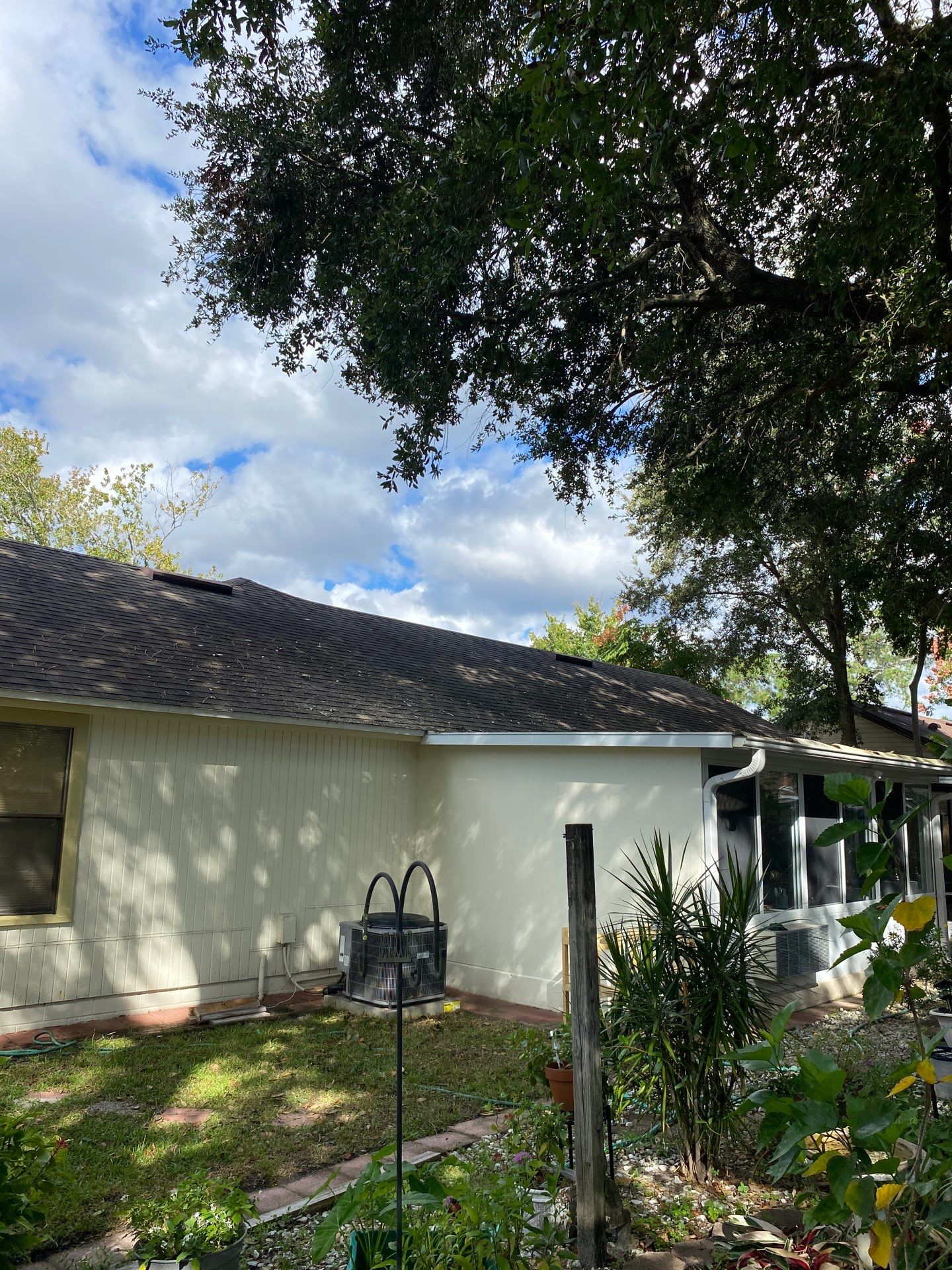Tree Trimming | Residential by ProGreen Services