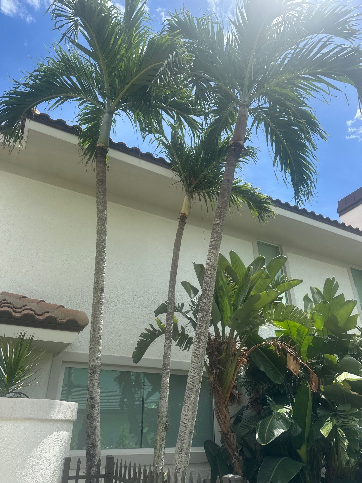 Sewall's Point Phase 1 - The Art of the Cutback by Alpha Zeta Enterprises Inc