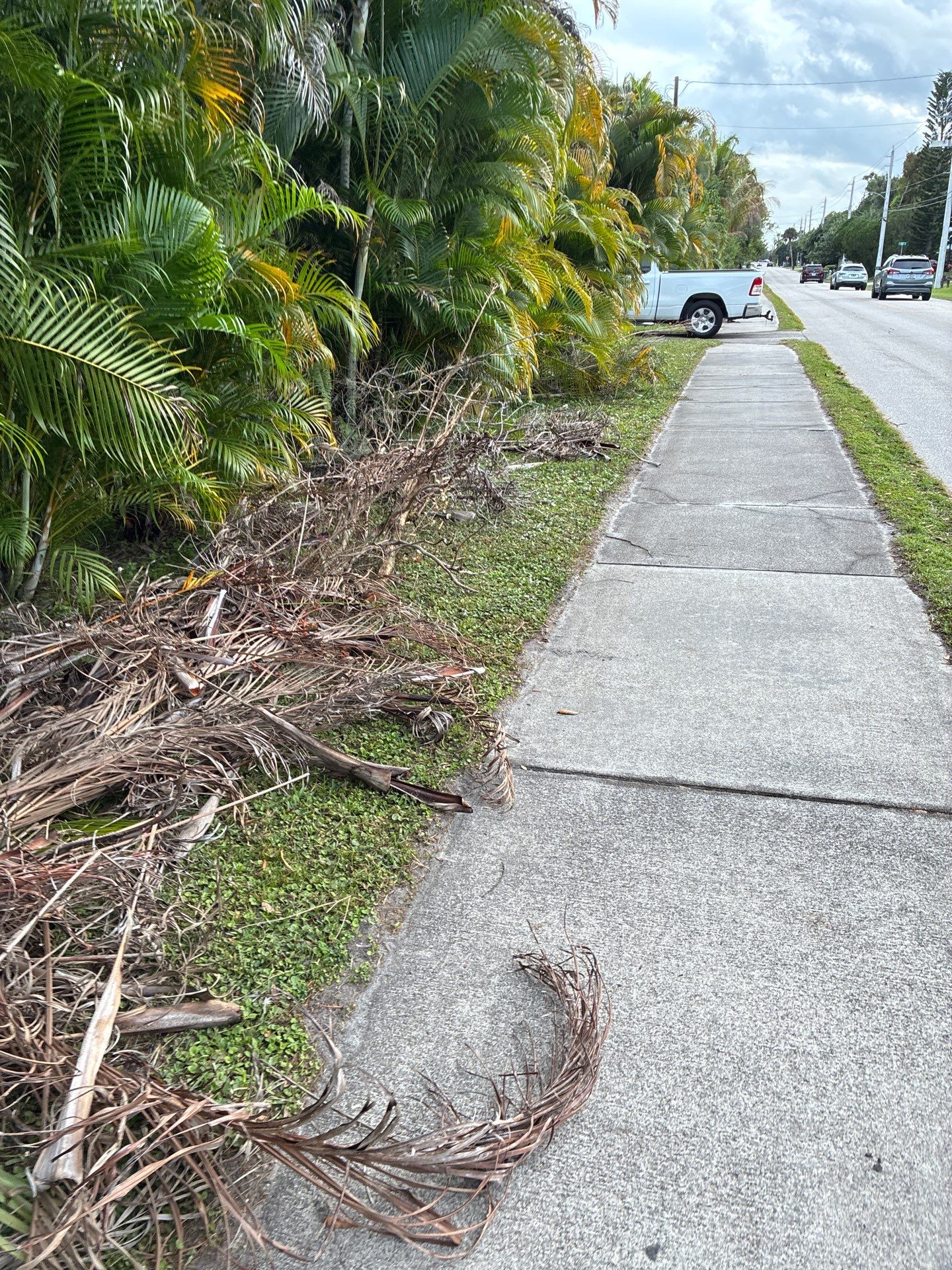🏡 Pre-Sale Property Cleanup in Old Palm City, FL by Alpha Zeta Enterprises Inc