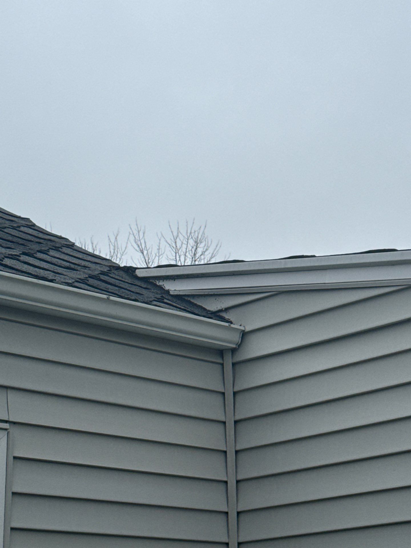 Rochelle Bumgarner by Silver Leaf Contracting 