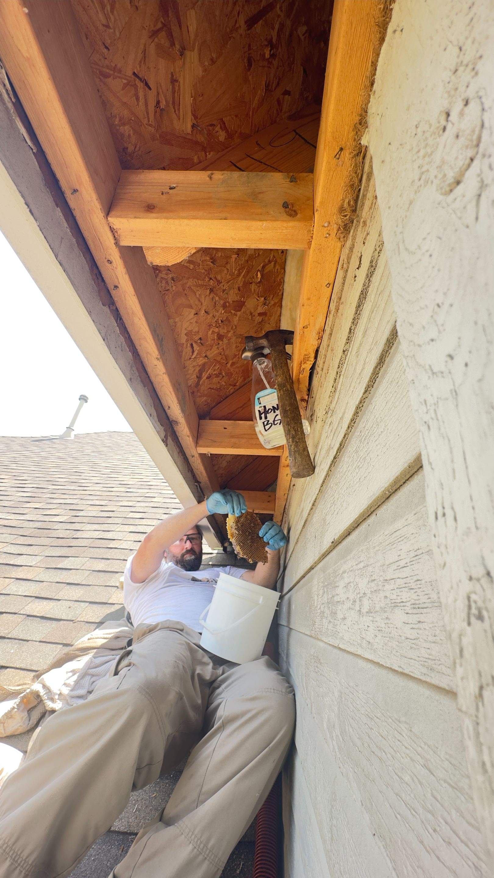 Rooftop by Rockwall Honey Bee Company