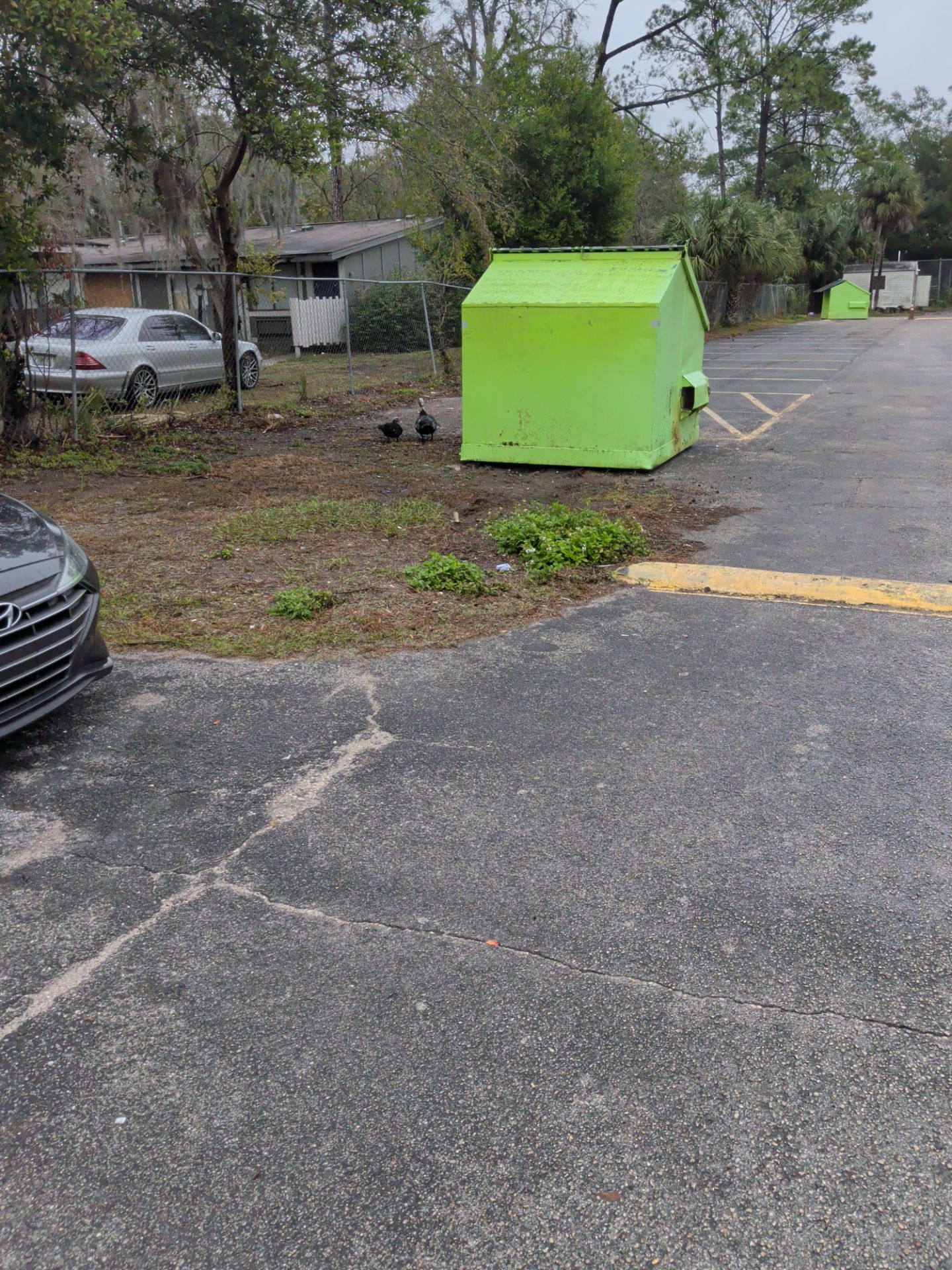 Commercial Landscape Cleanup & Weekly Maintenance — Grassy Pond Apartments by Harmoni Home Services