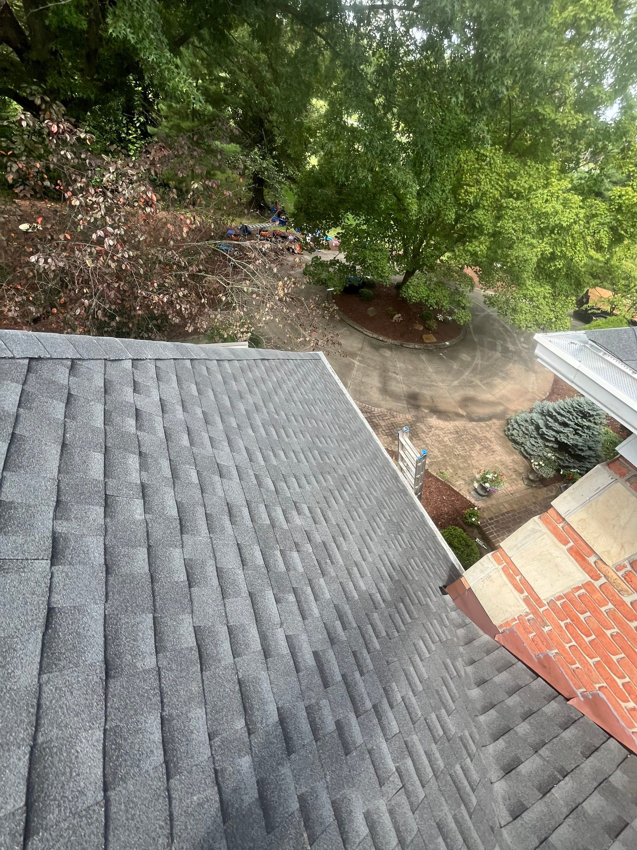 Net Crew Co featured photo.