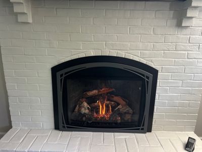 Mendota Gas Insert