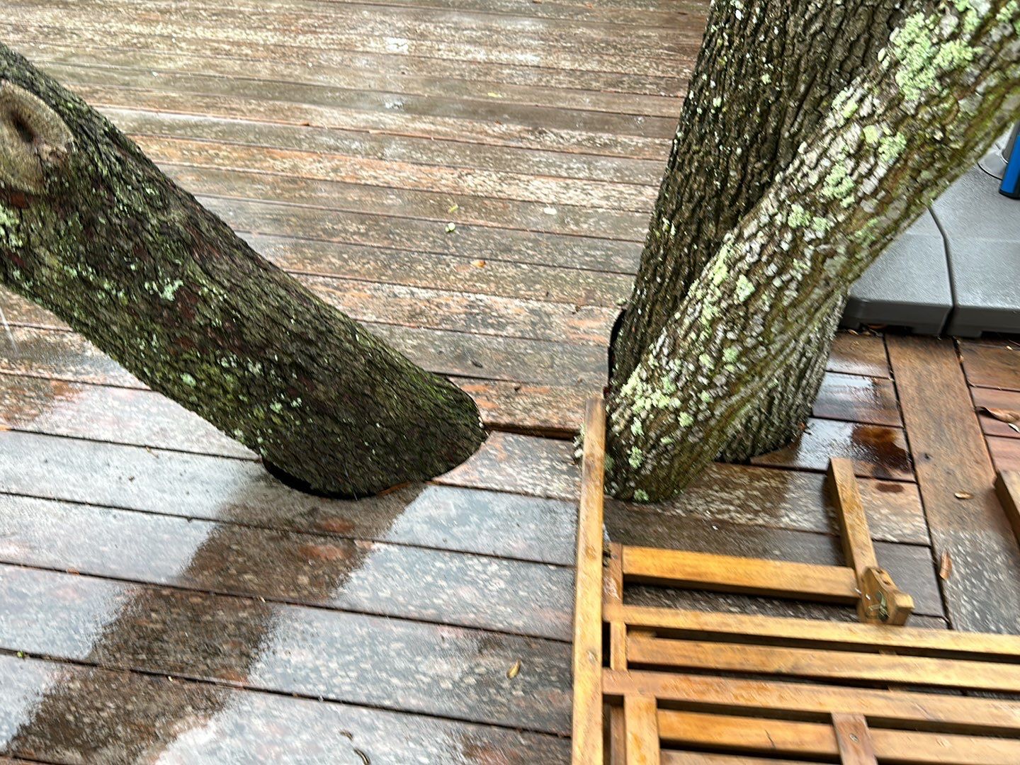 Deck using Wood Sealant by DuraSeal