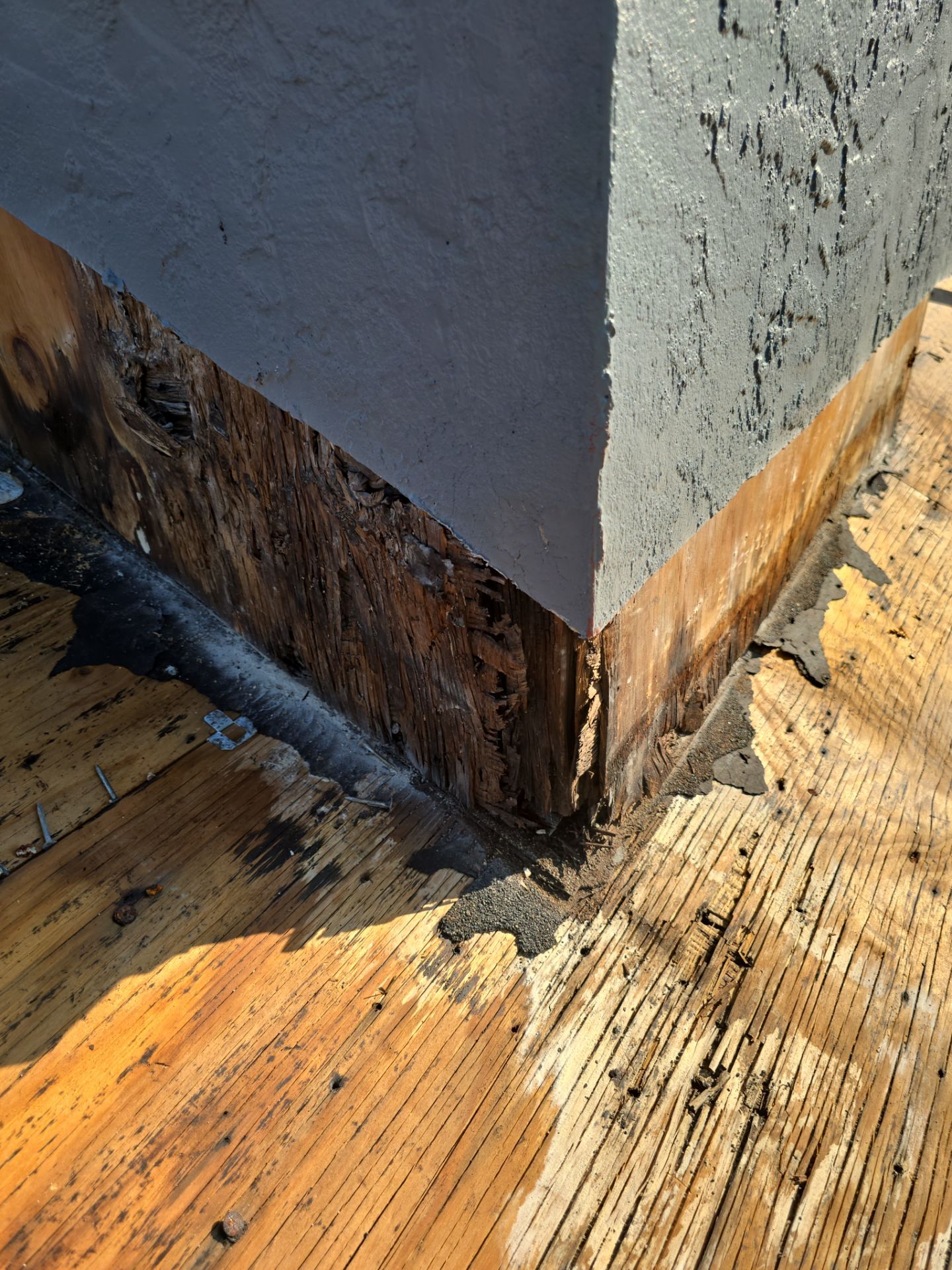 Roof Replacement in Riverview, FL by Shingle Masters Roofing