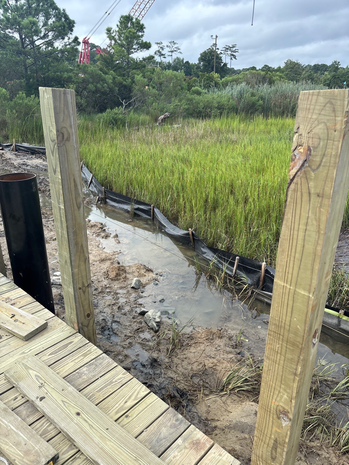 Project in Virginia Beach by Gregory Sandstrom