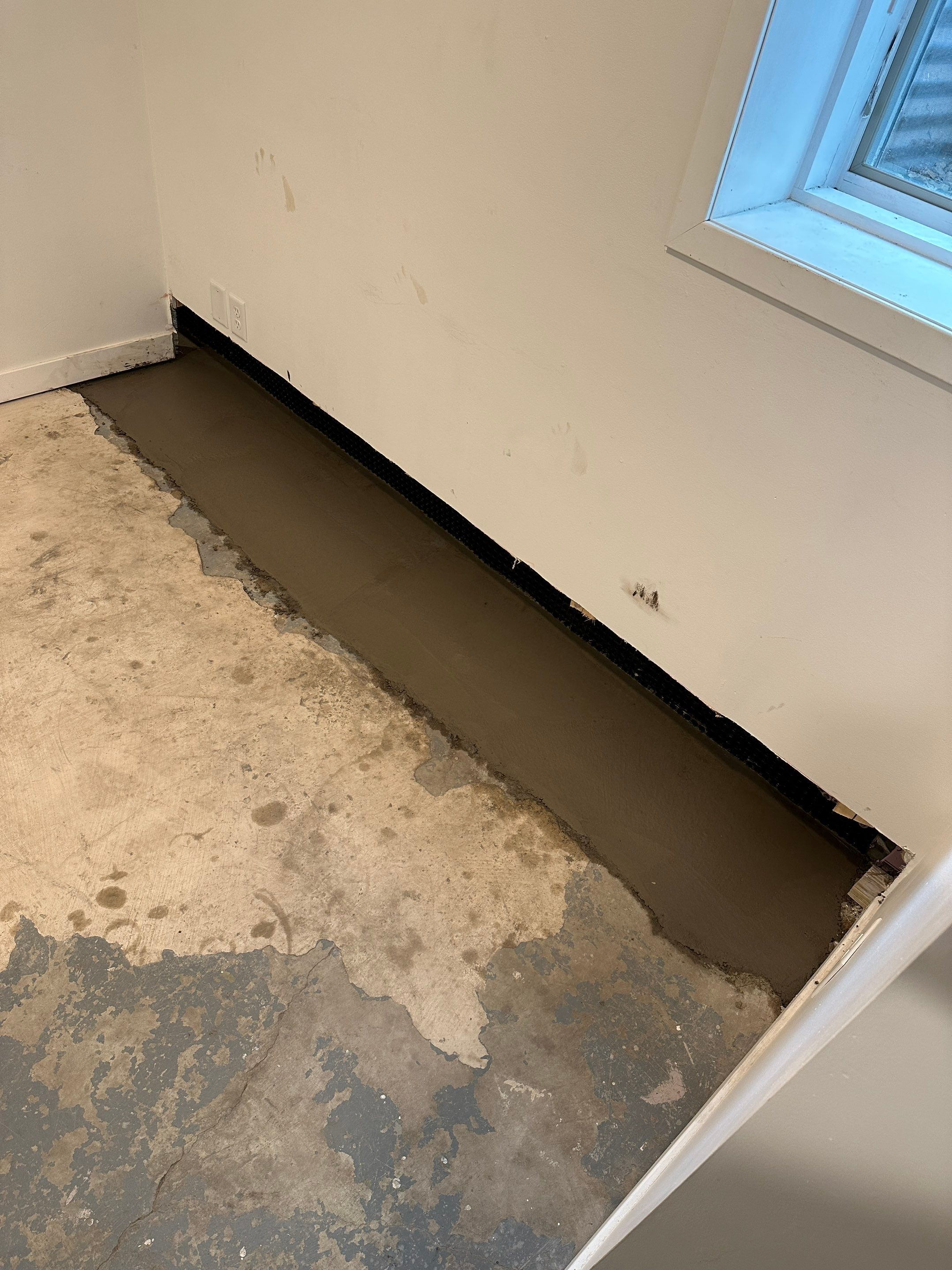 Peace of Mind for Molly’s New Home by Waterproofing Northeast