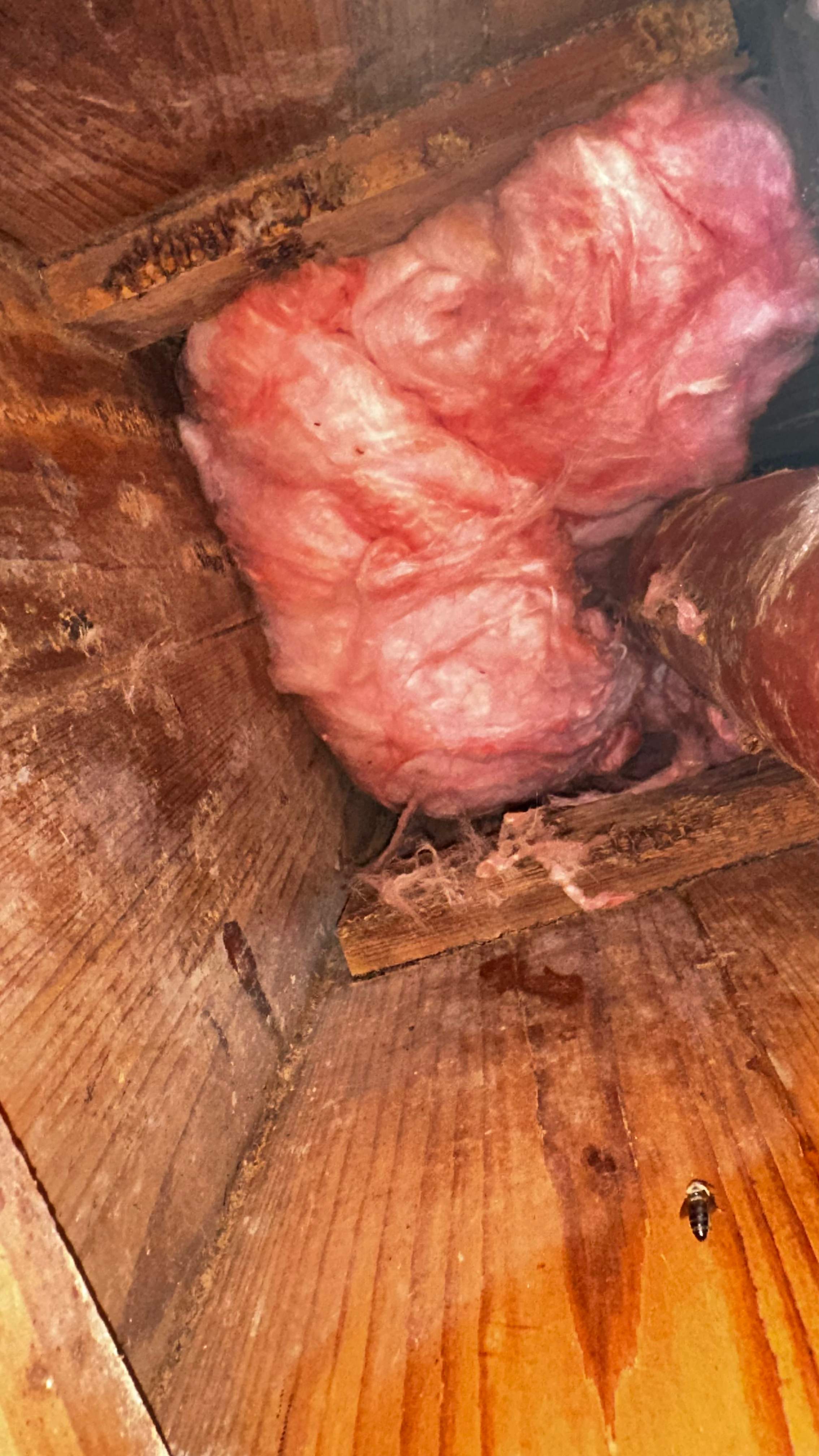 Column Bees by Rockwall Honey Bee Company