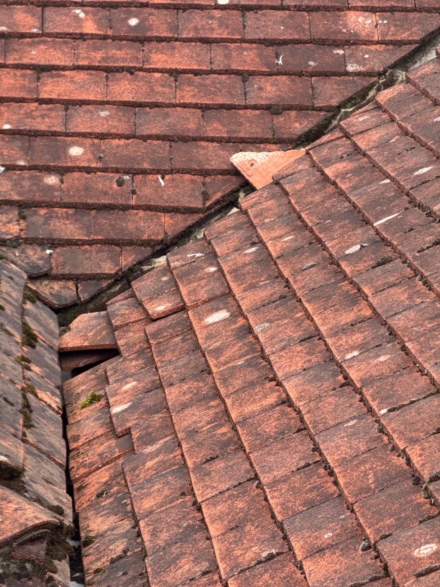 Roof Clean  - Moss Removal - Gutter Clean using Honda 15lpm Low Pressure Washing Machine by Ges Exterior Cleaning ltd