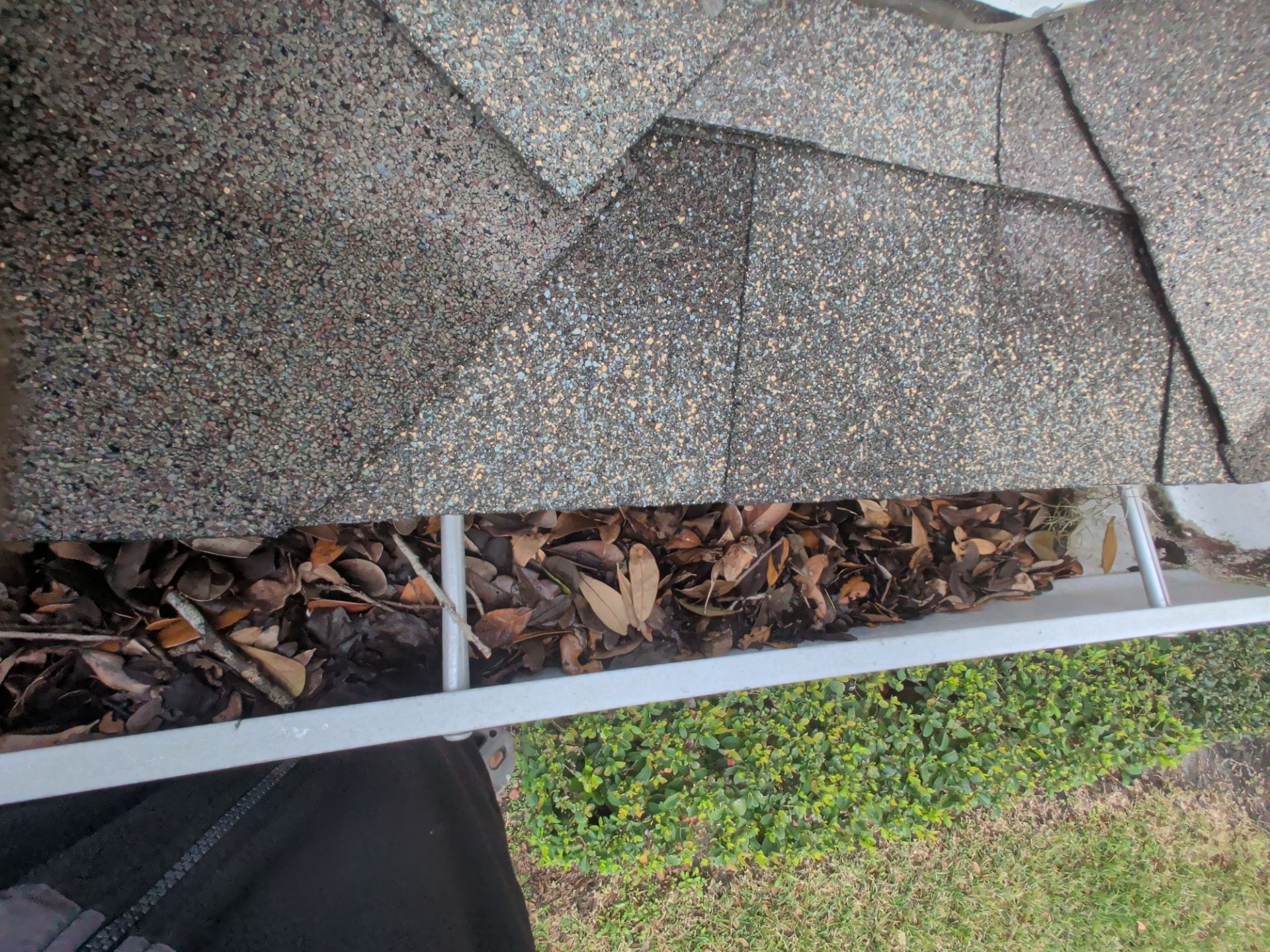 Gutter Cleaning & Debris Removal — Oceanway (Northside Jacksonville) by Harmoni Home Services