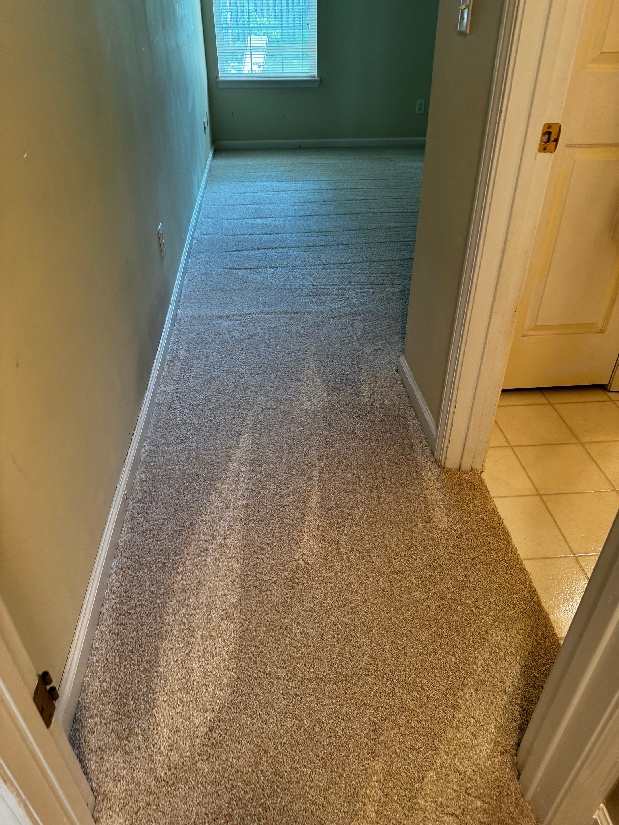 Wall-to-Wall Carpet Installation and Subfloor Preparation in Zionsville by Brothers Floor Covering INC.