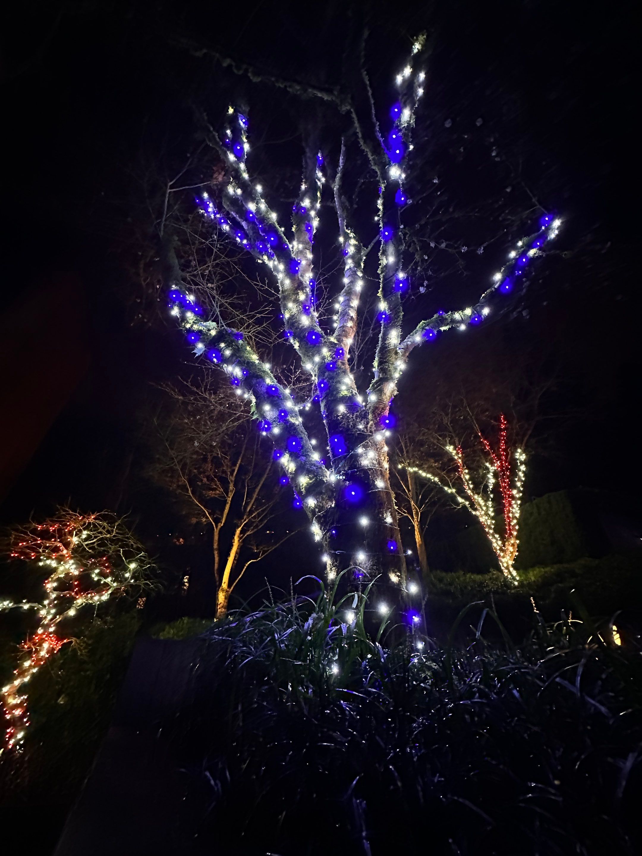 Holiday Light Gallery by WindowWorks