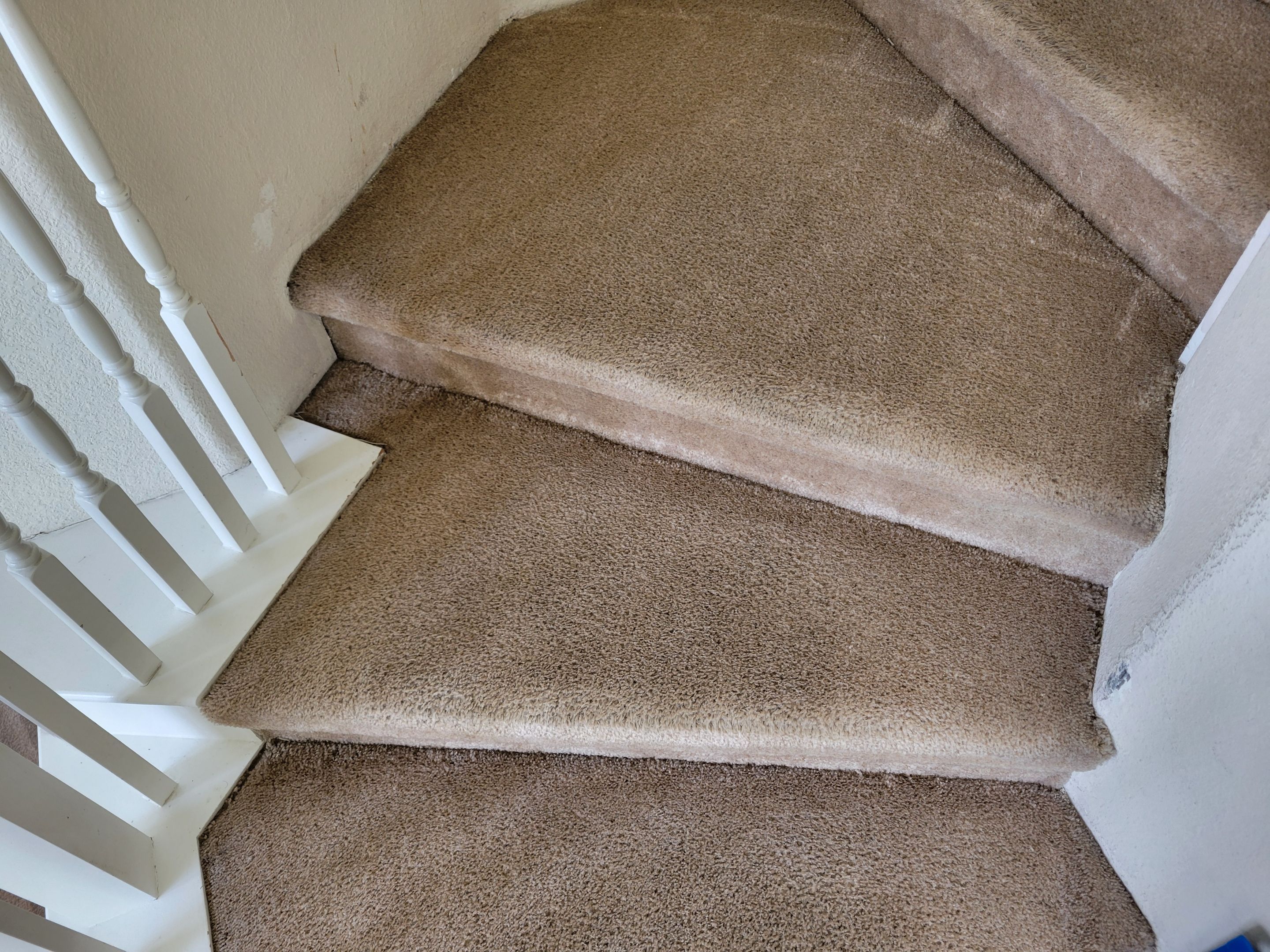 Cleaning Heavily Soiled Stairs and Entryway by Ardent Carpet Restore LLC