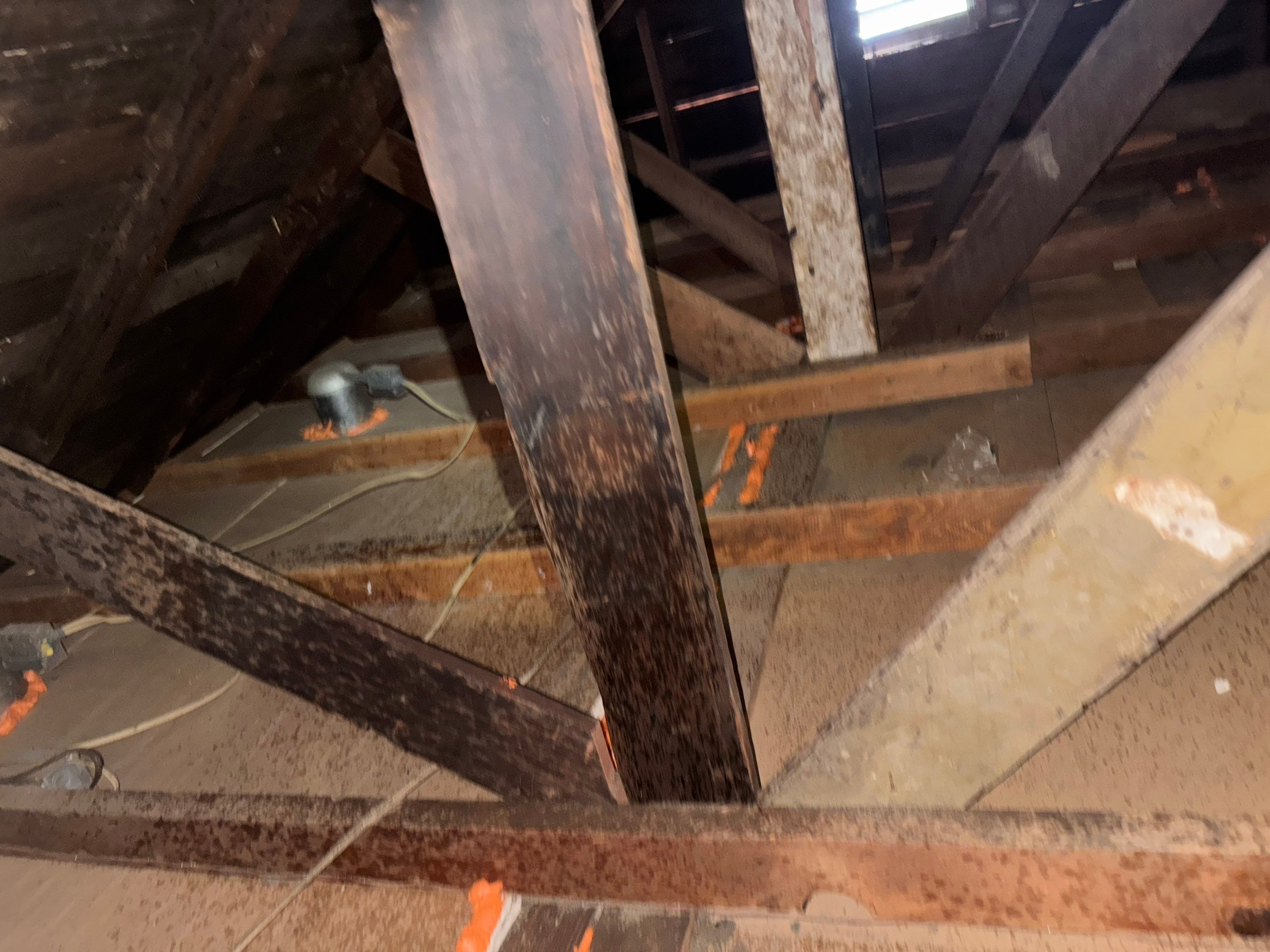 Project in Garden Grove by Insulation Labs