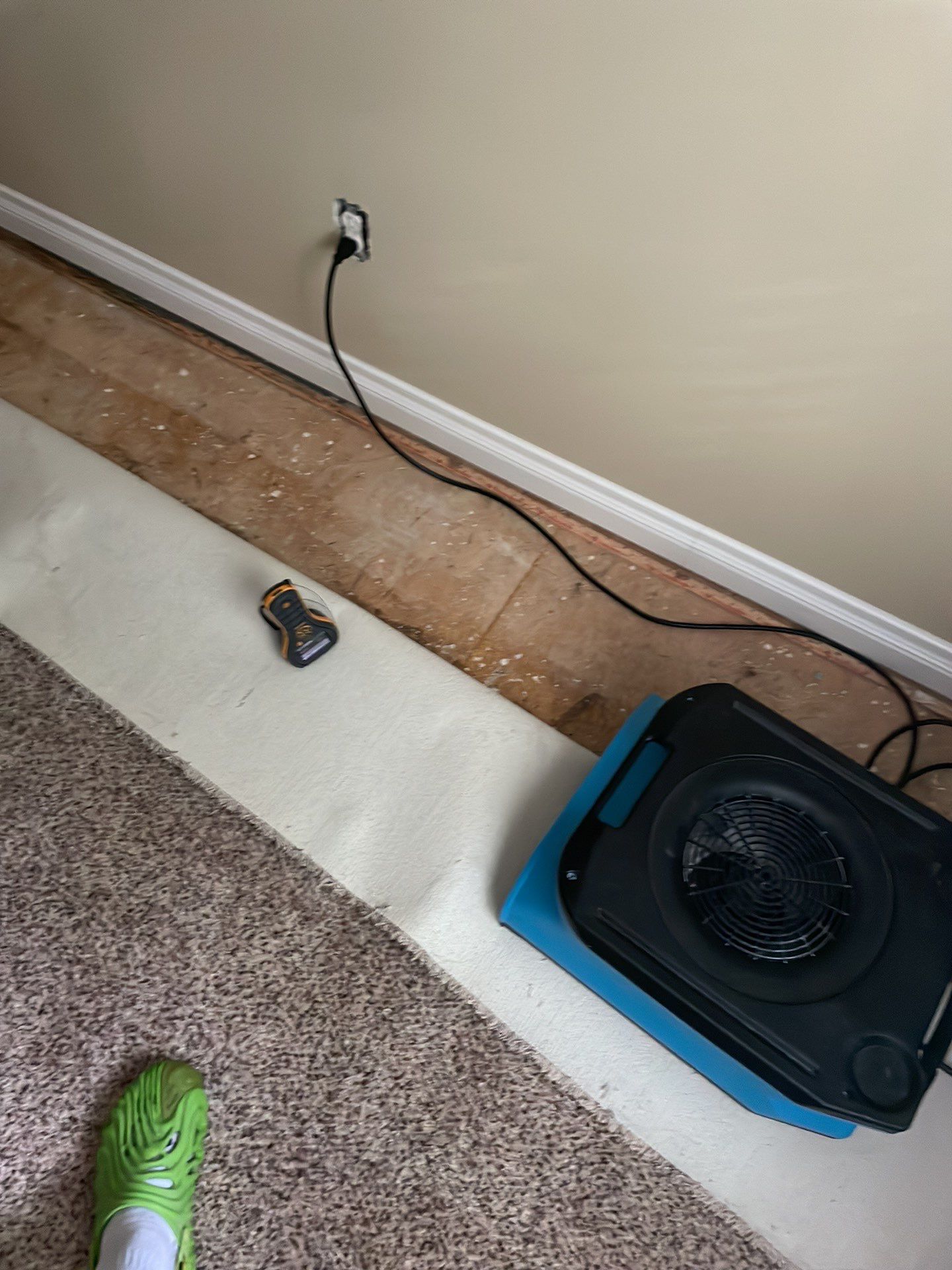 Project in Novi by EzDry Water Mitigation & Property Restoration