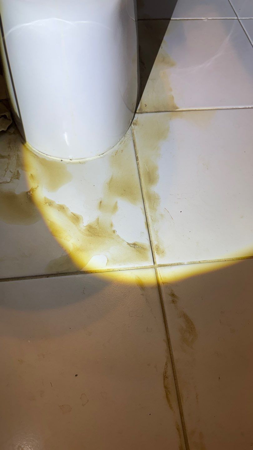 Mold Project in Englewood by Accountable Home Services