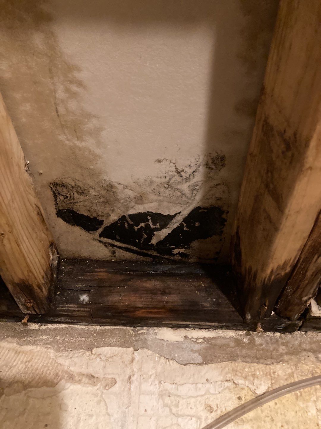 Water Damage Repair by Accountable Home Services