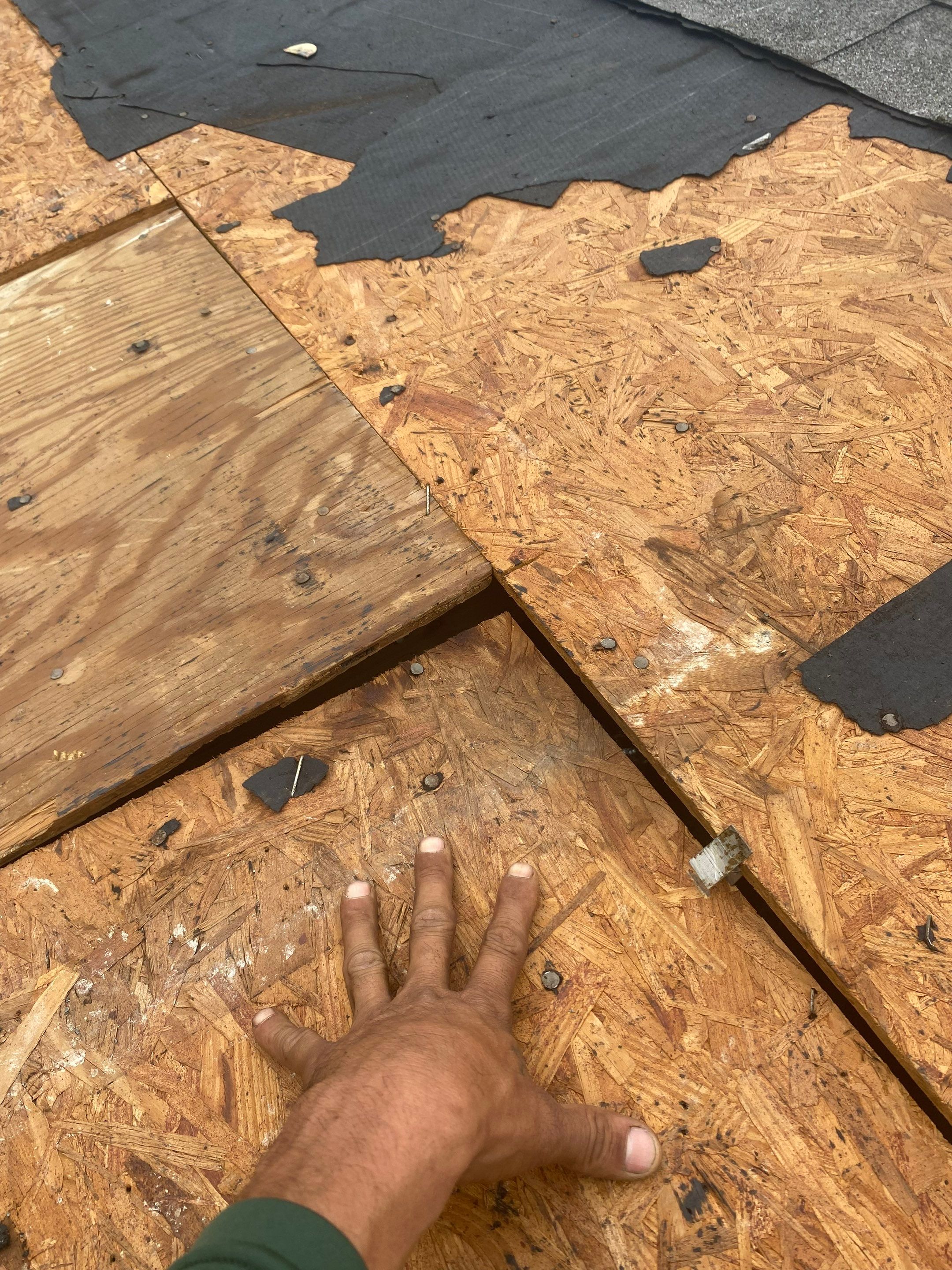 Project in Pflugerville by Serene Construction