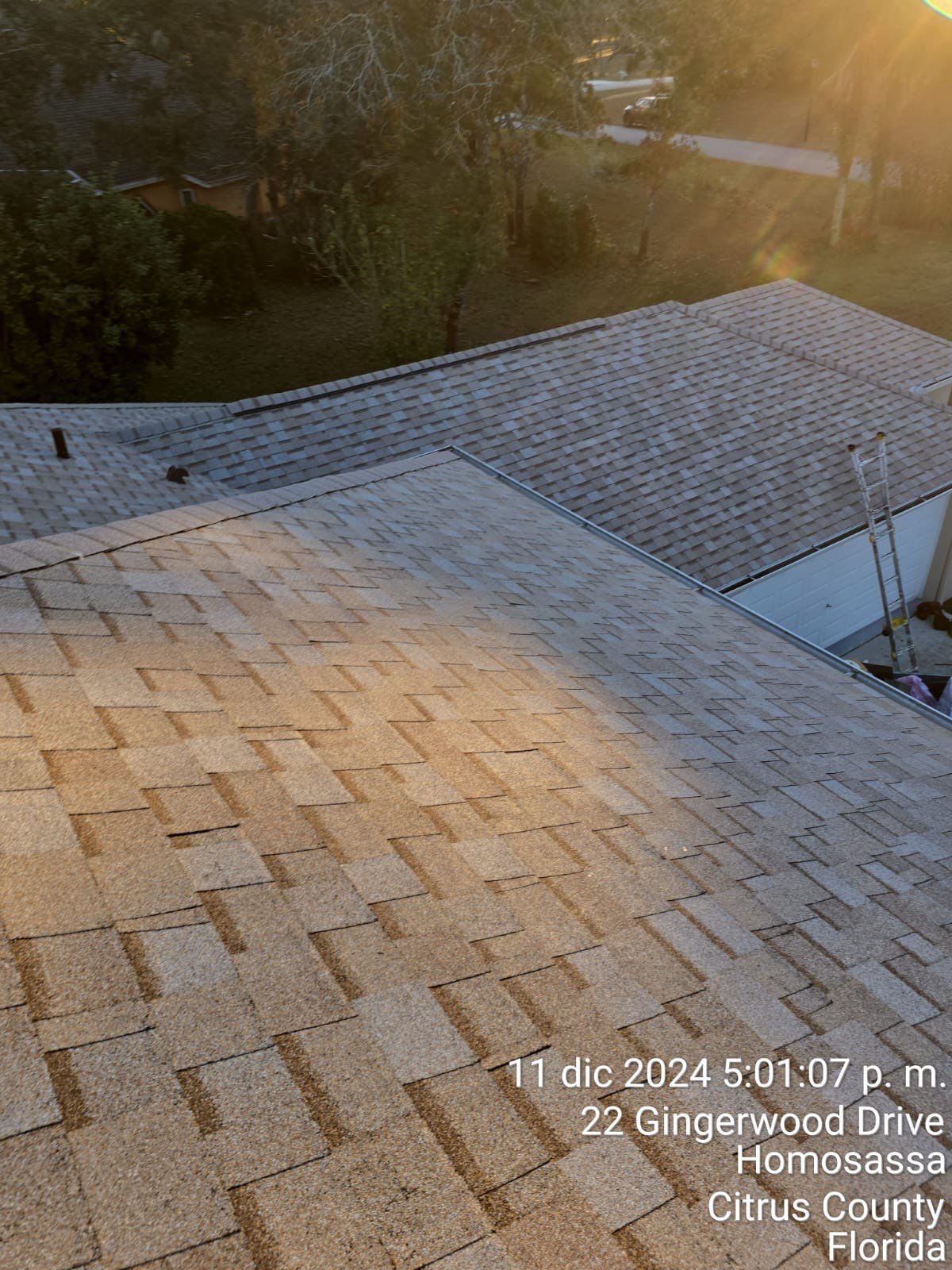 Solar / Roofing by RoofGuru AI