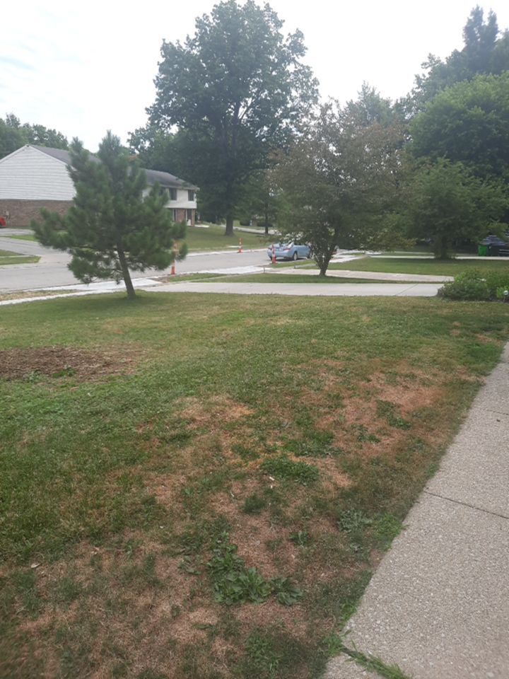 Tree Removal using Tree Removal by Mike Jones & Sons Tree Service LLC 