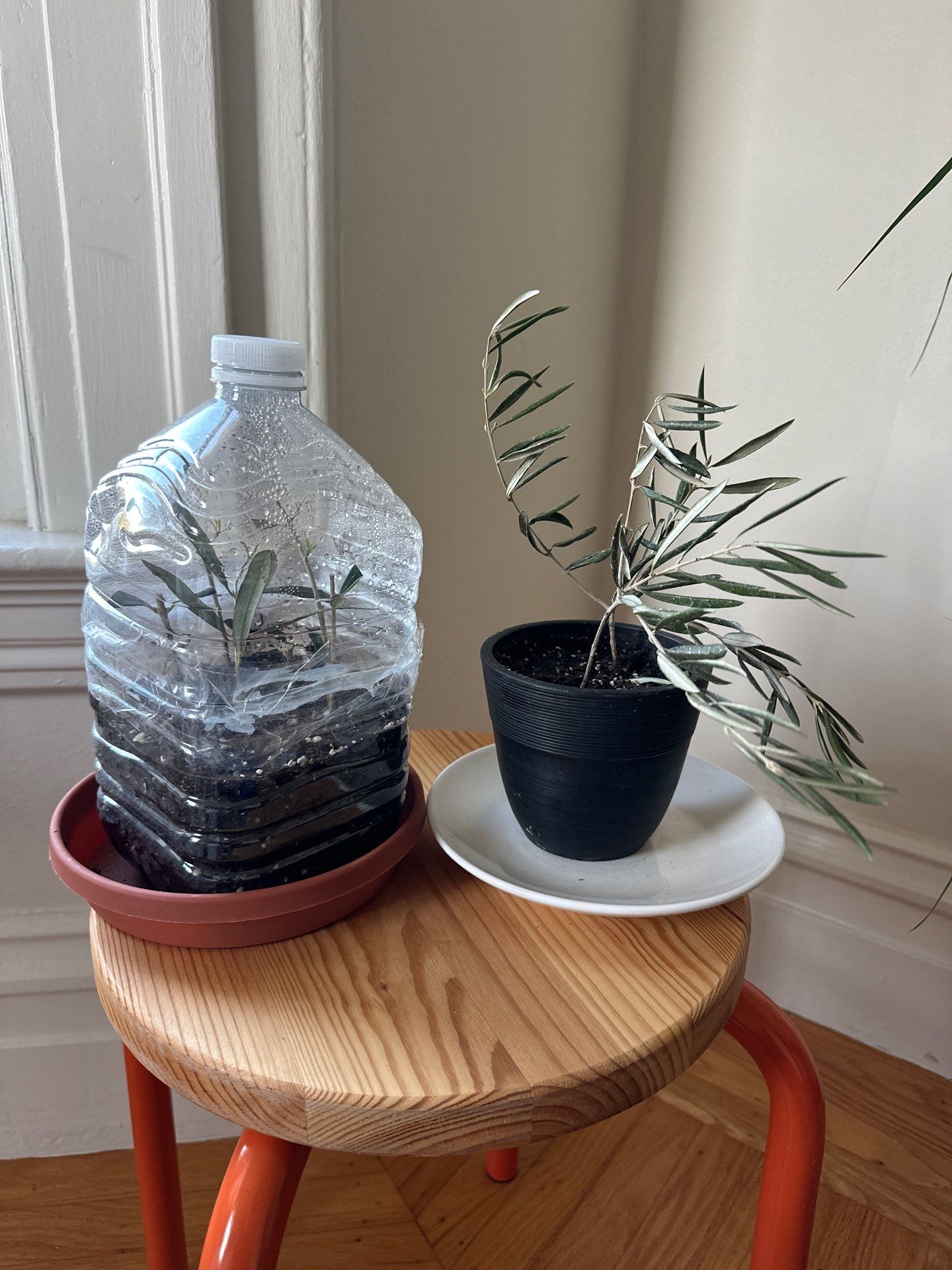 Showcase test by CompanyCam